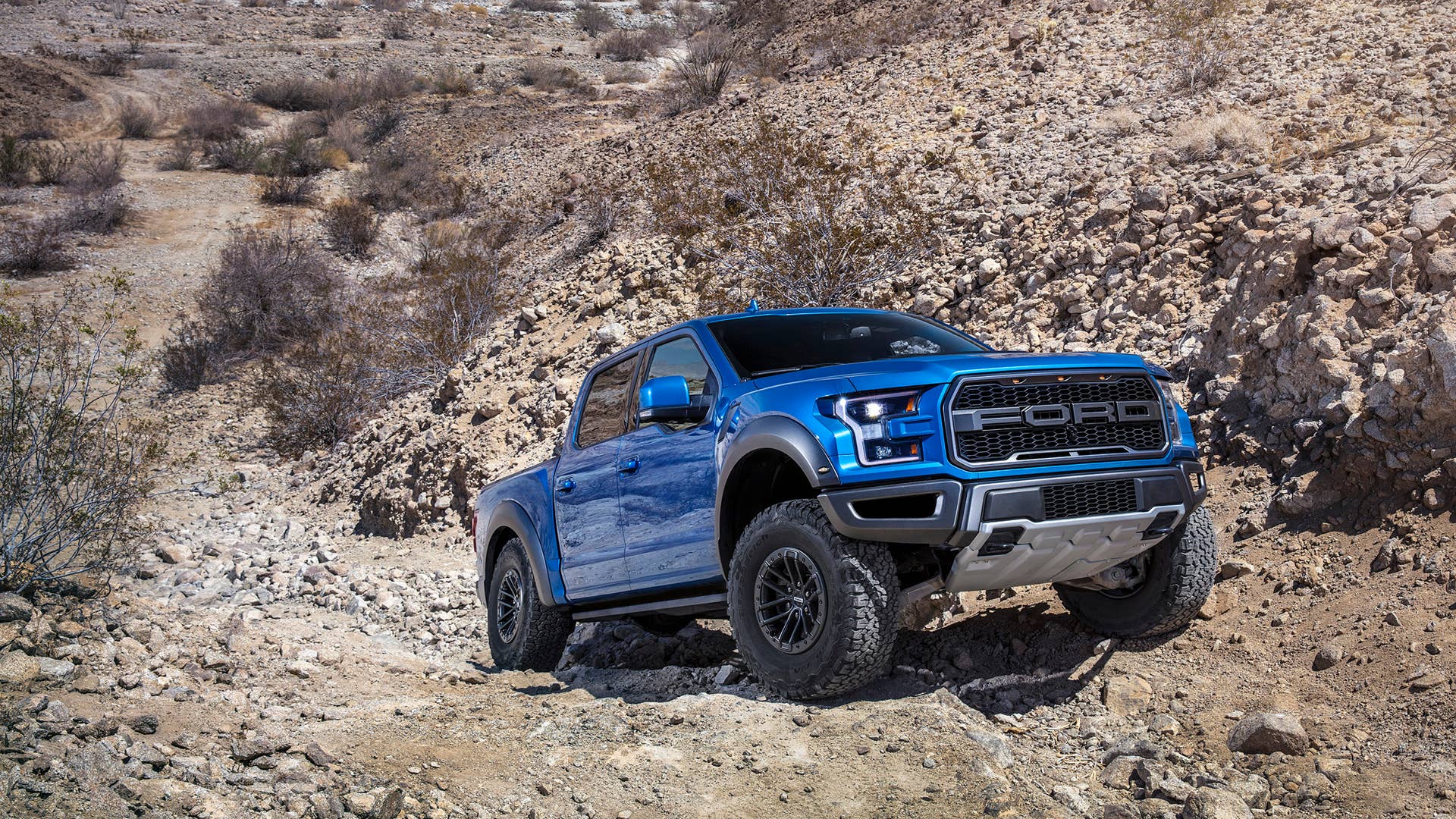 2019 Ford F-150 Raptor