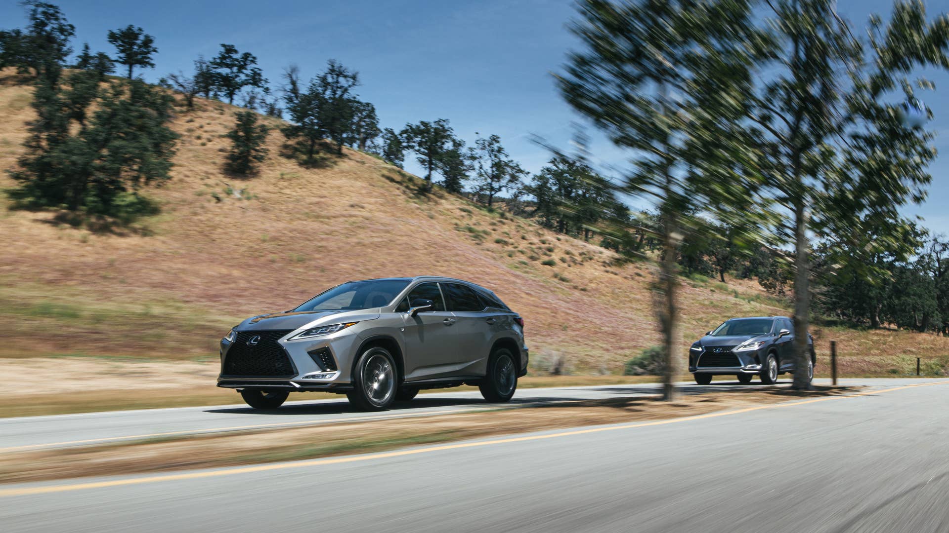 2020 Lexus RX450h