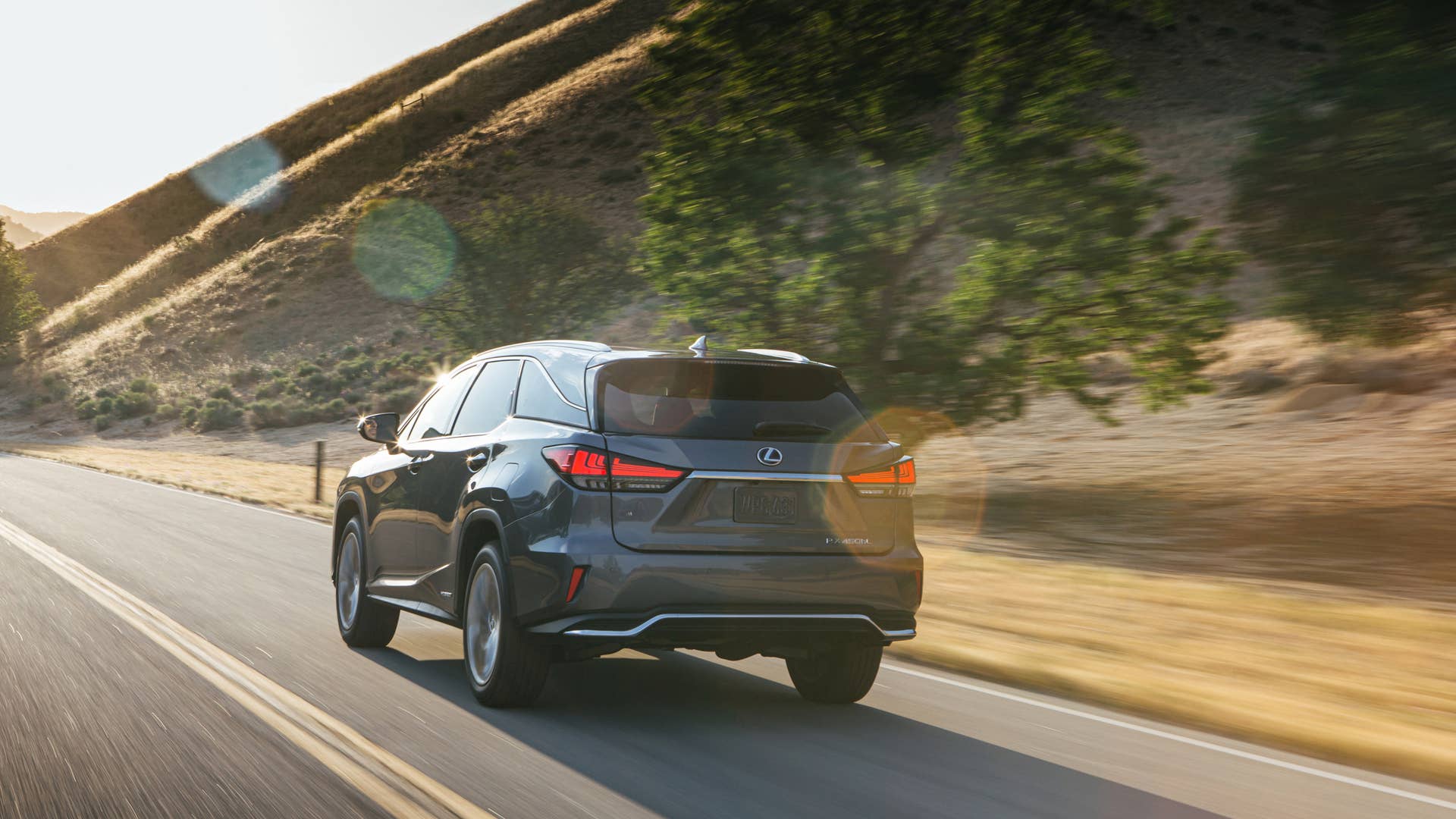 2020 Lexus RX450h