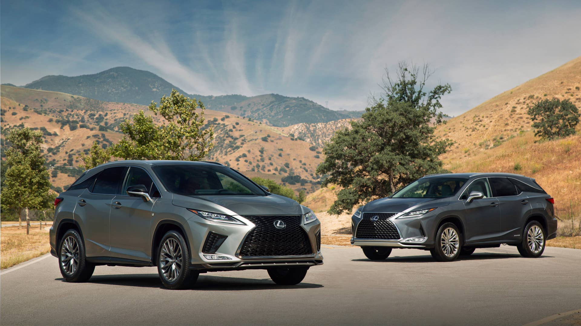 2020 Lexus RX450h