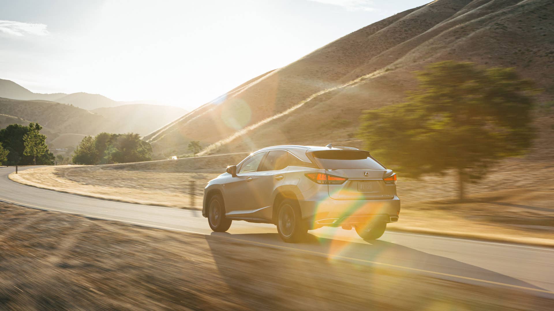 2020 Lexus RX350
