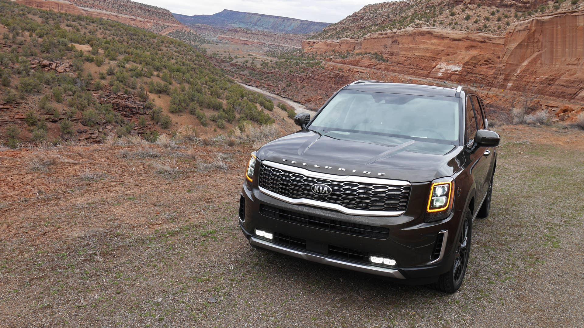 2020 Kia Telluride