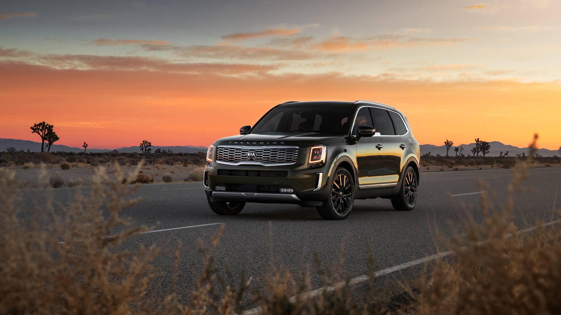 2020 Kia Telluride