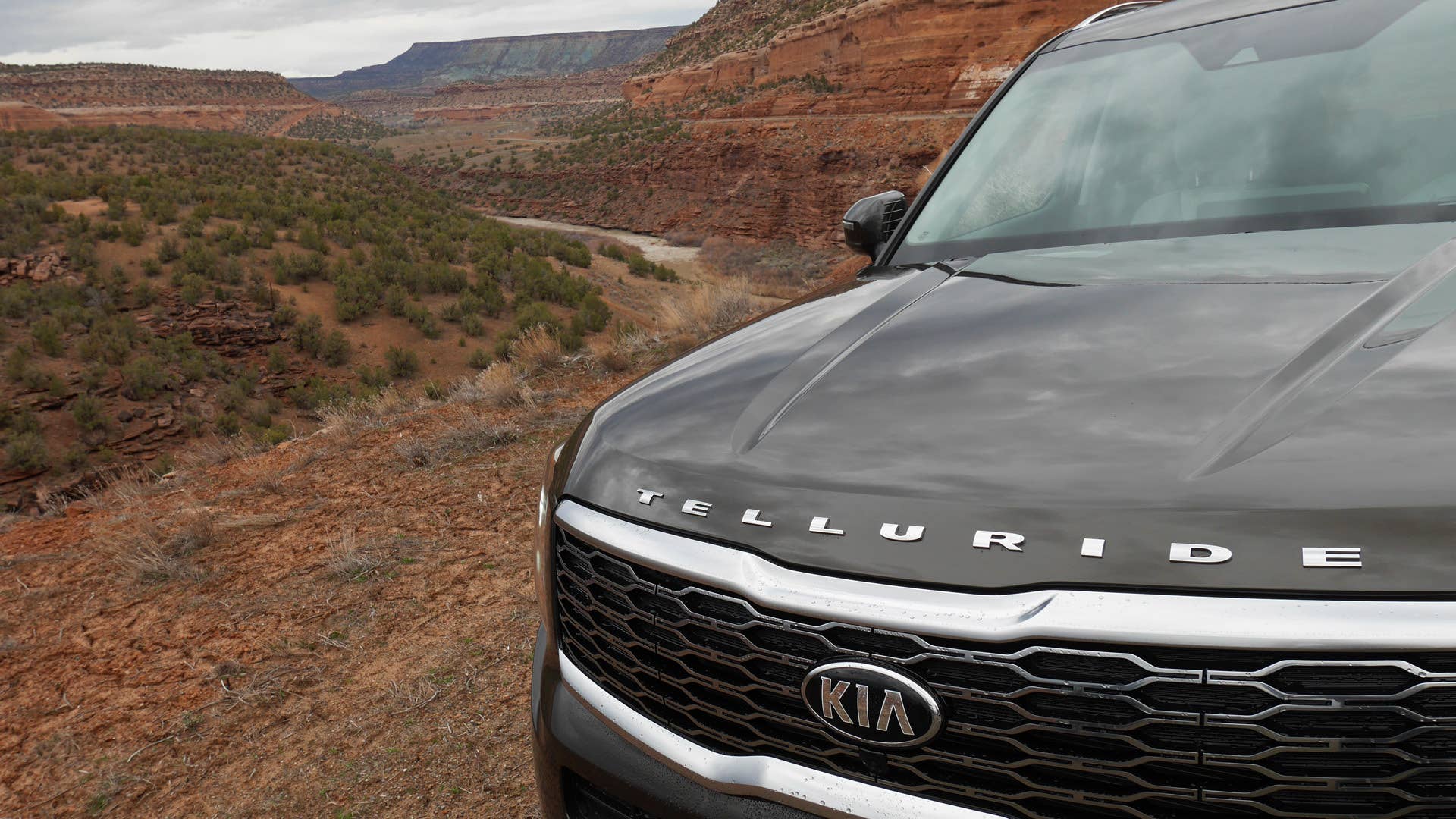 2020 Kia Telluride