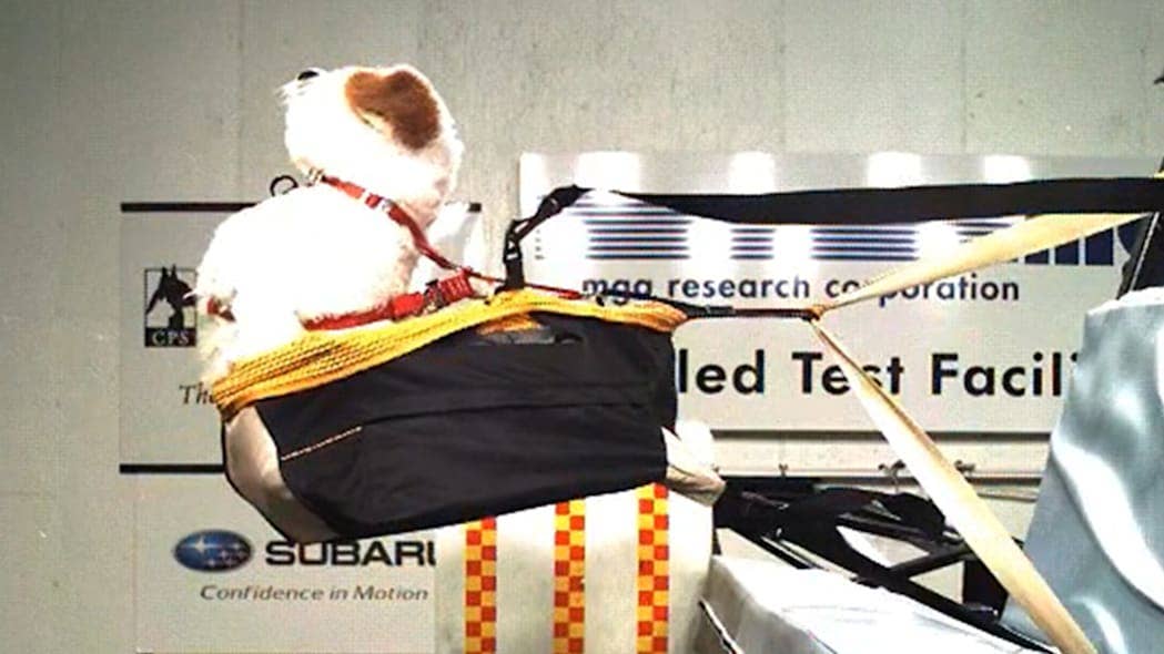 Center for Pet Safety crash test