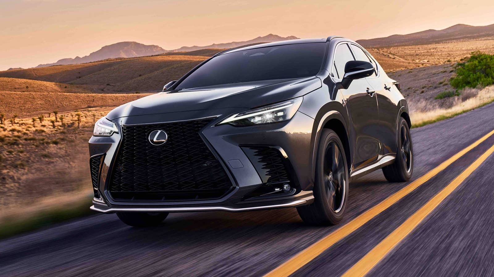 2022 Lexus NX