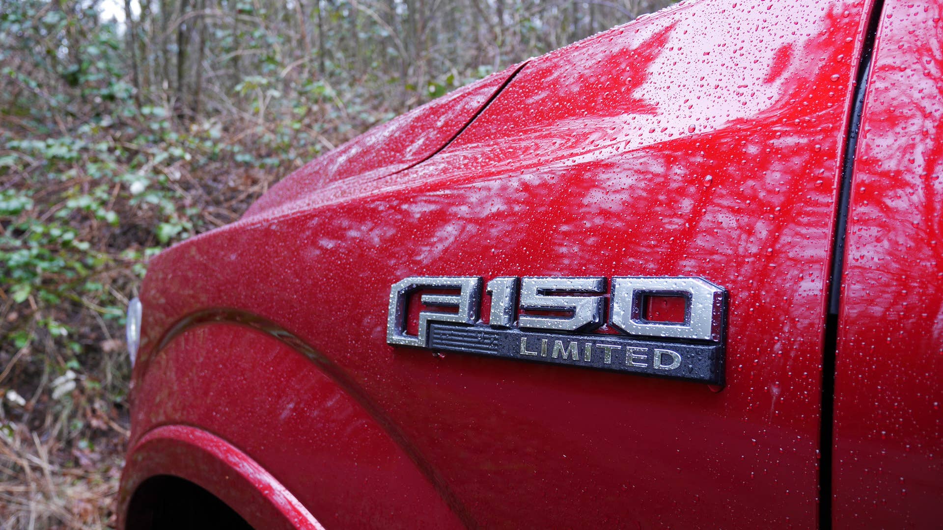 2019 Ford F-150 Limited
