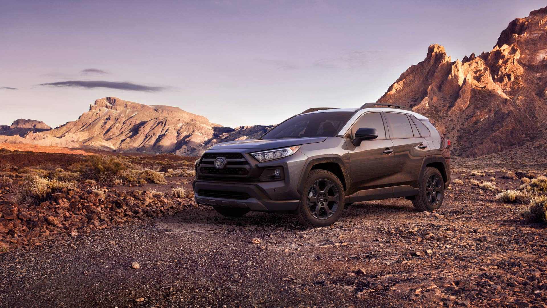 2019 Toyota Rav4 TRD Off-Road