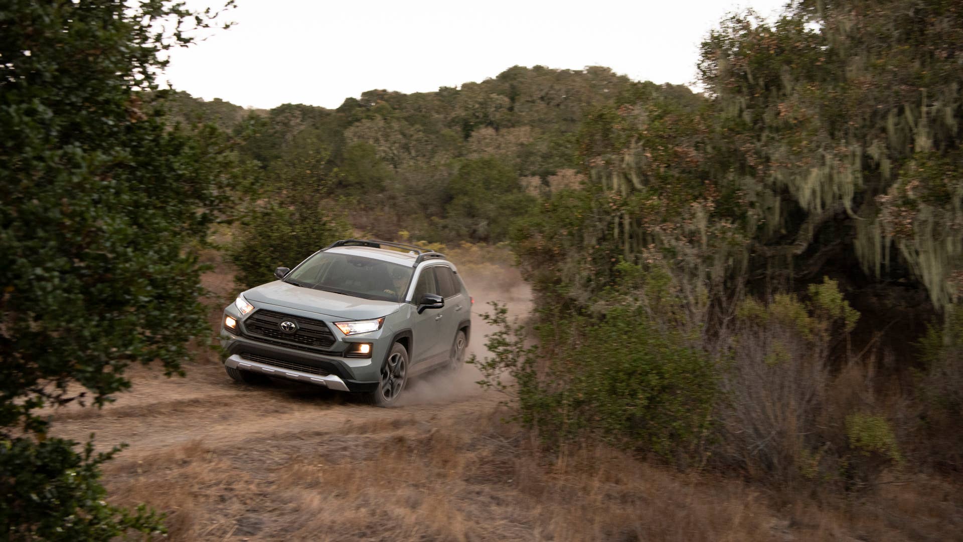 2019 Toyota RAV4 Adventure