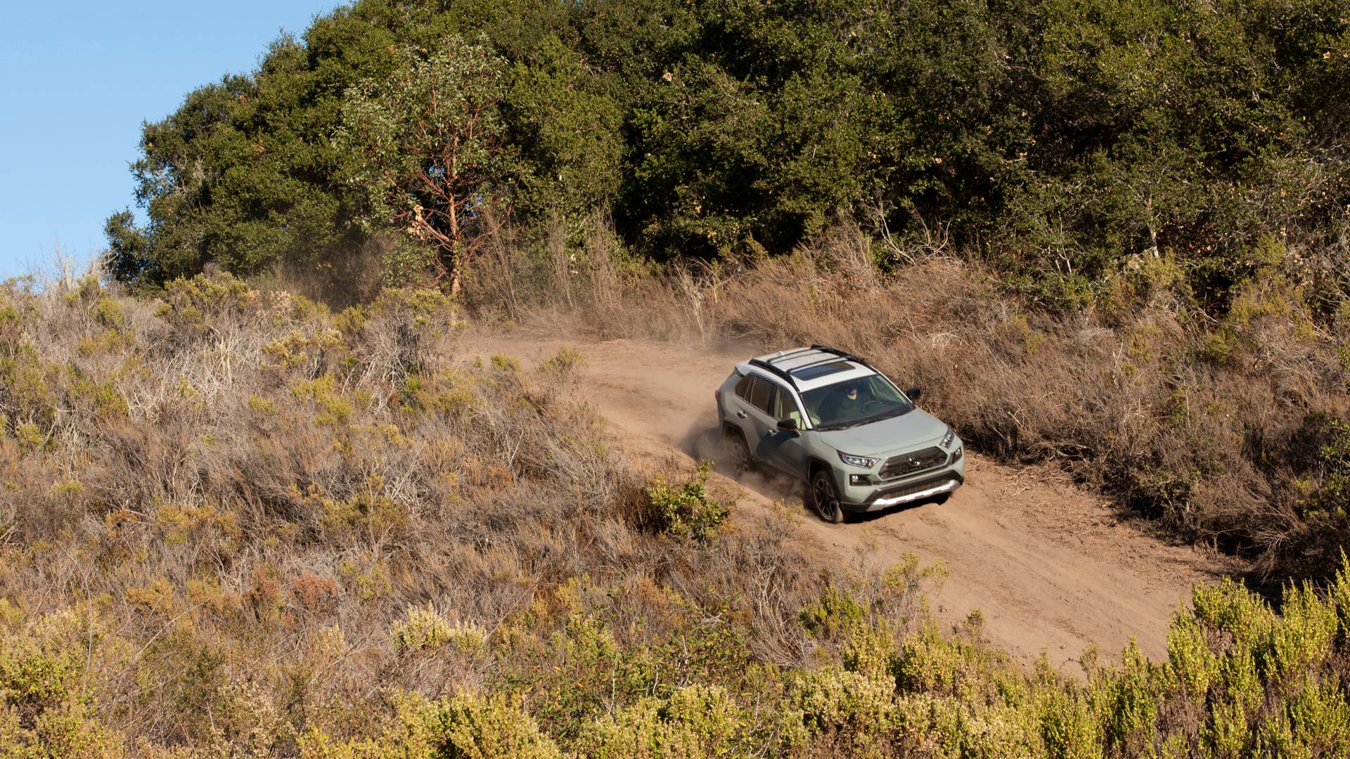 2019 Toyota RAV4 Adventure