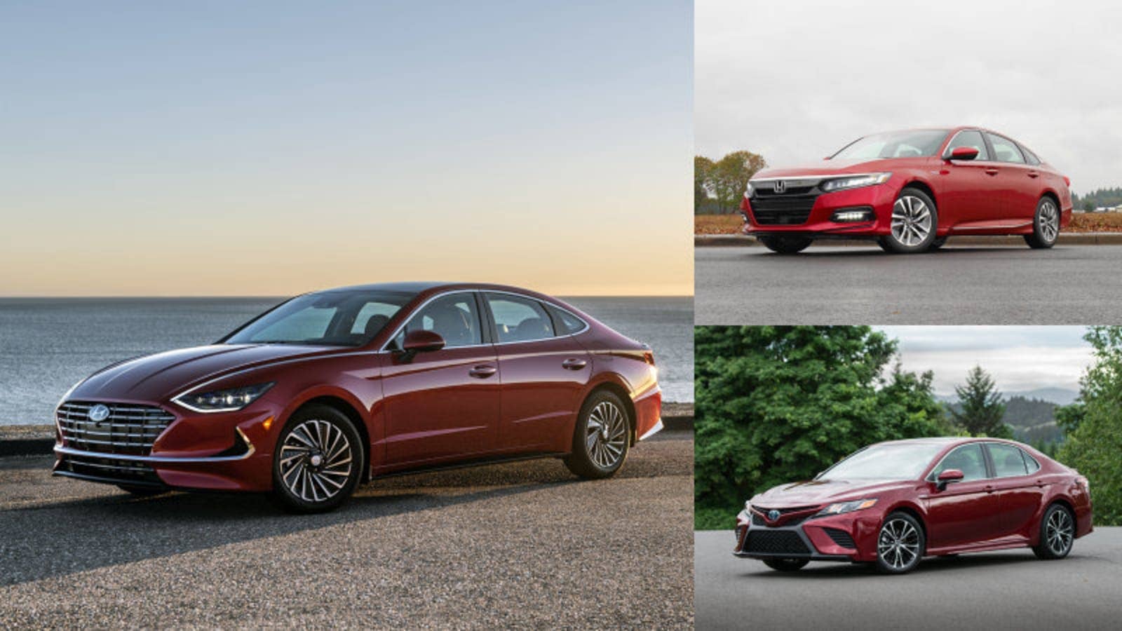 Hyundai Sonata, Honda Accord, Toyota Camry hybrids