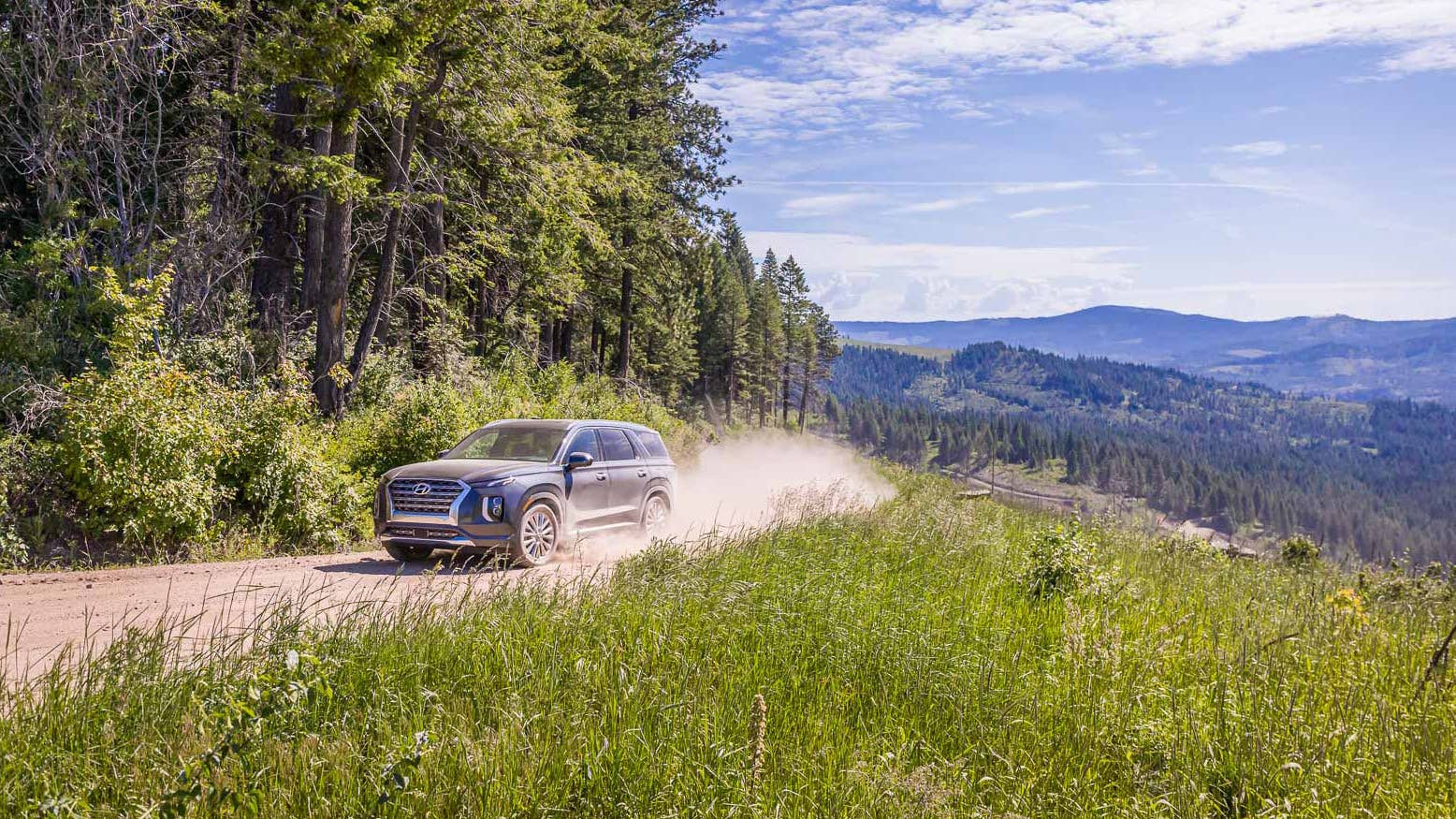 2020 Hyundai Palisade
