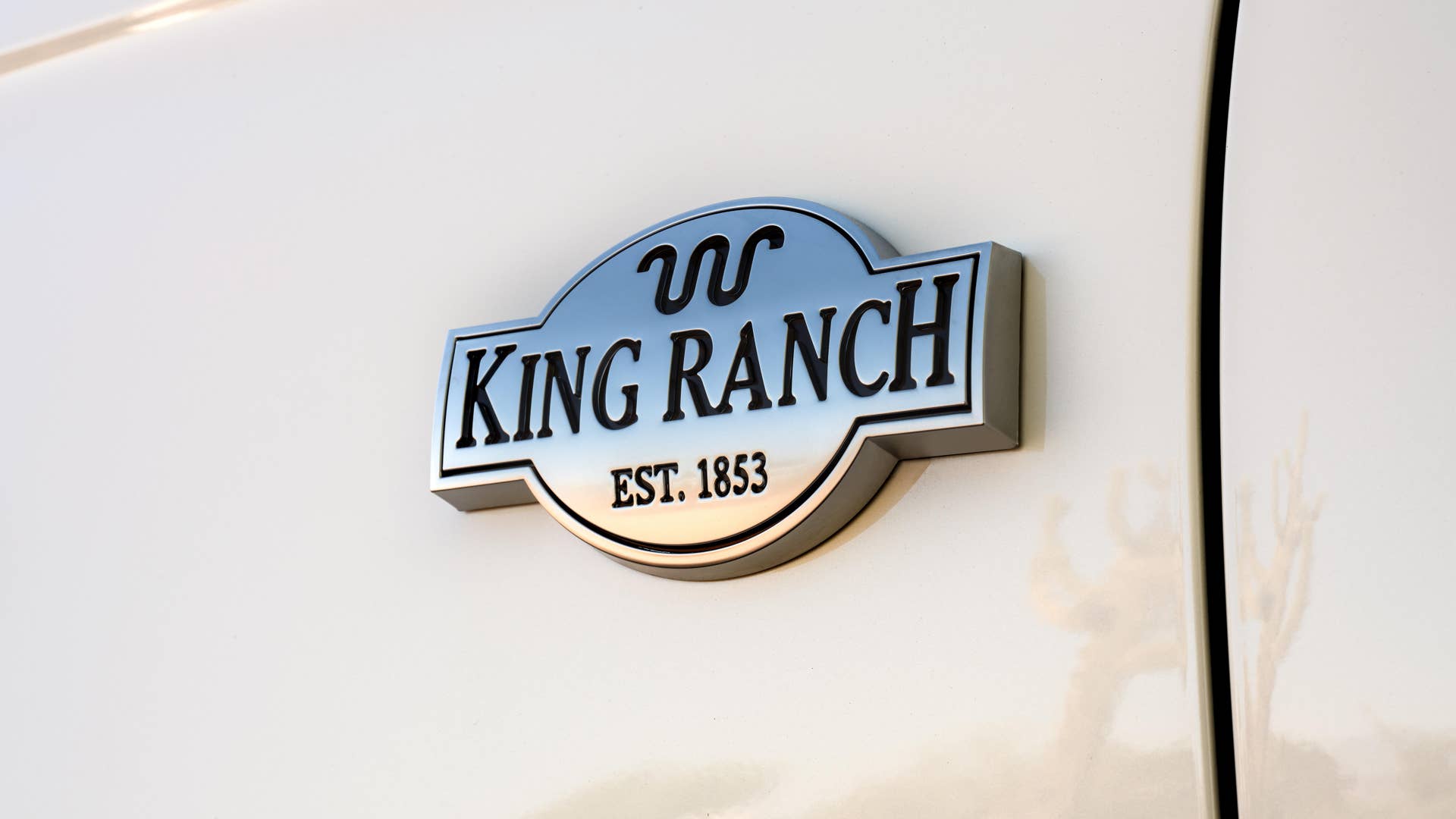 2020 Ford Expedition King Ranch in white