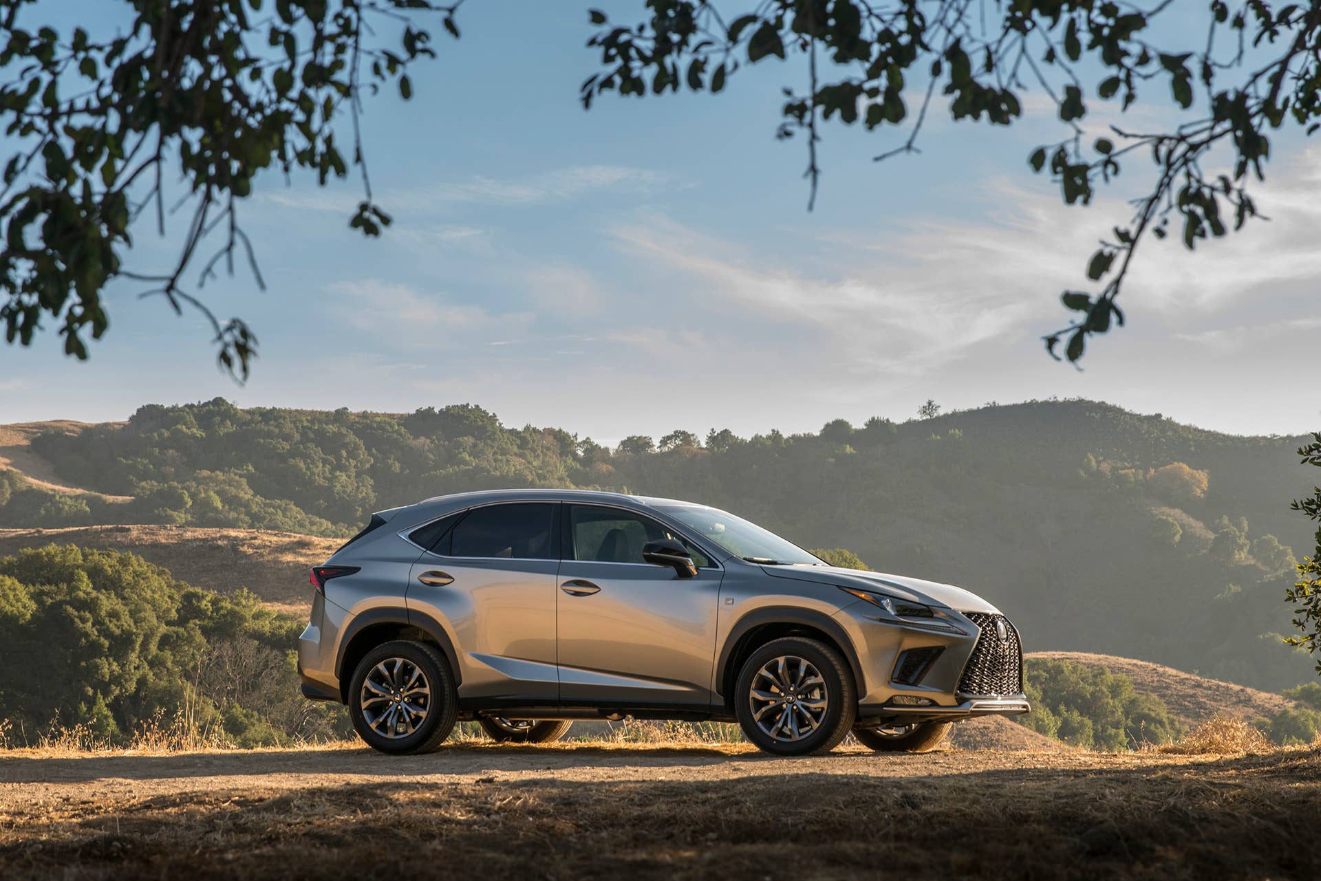 Lexus makes small changes to the 2021 NX lineup.