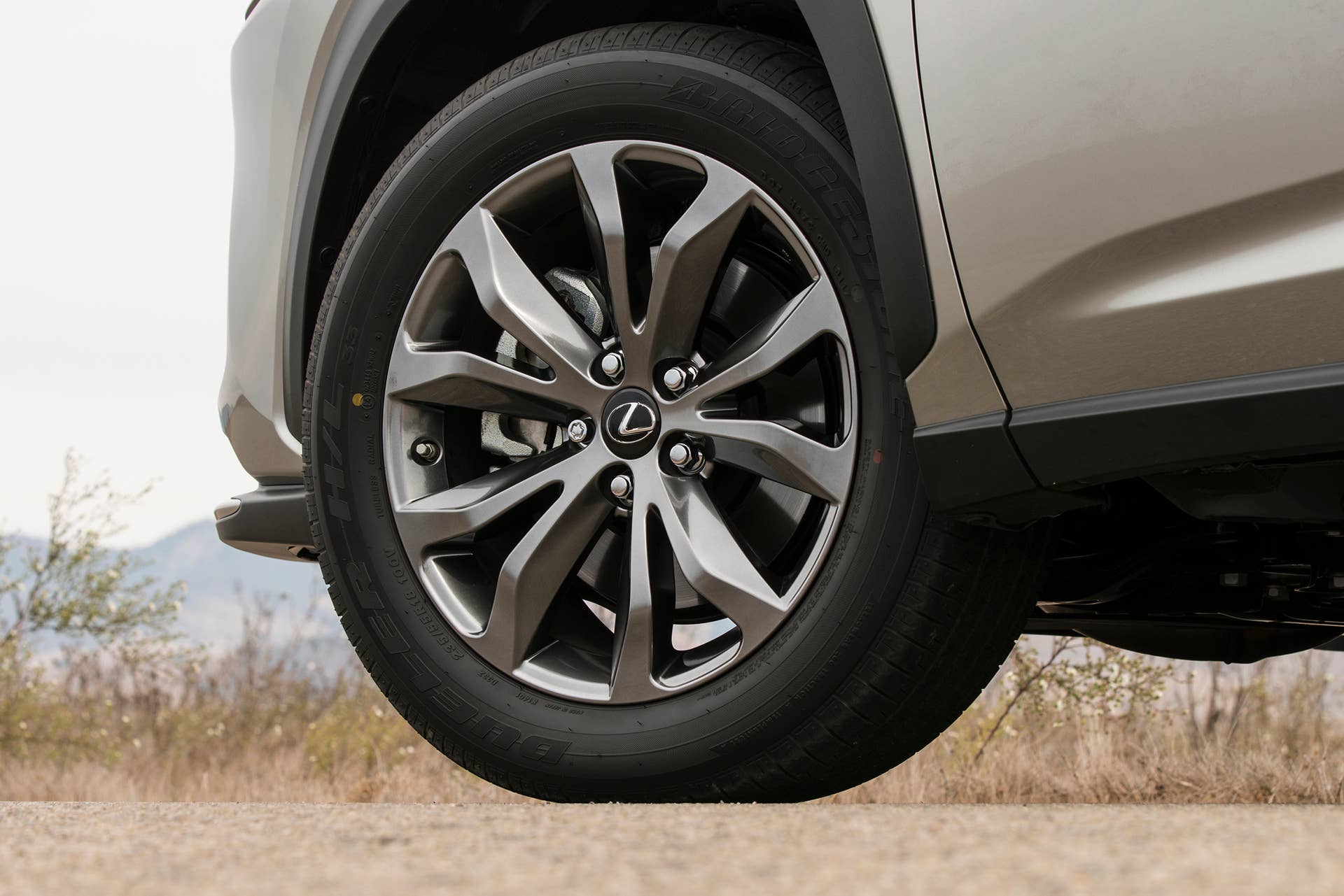 Lexus makes small changes to the 2021 NX lineup.