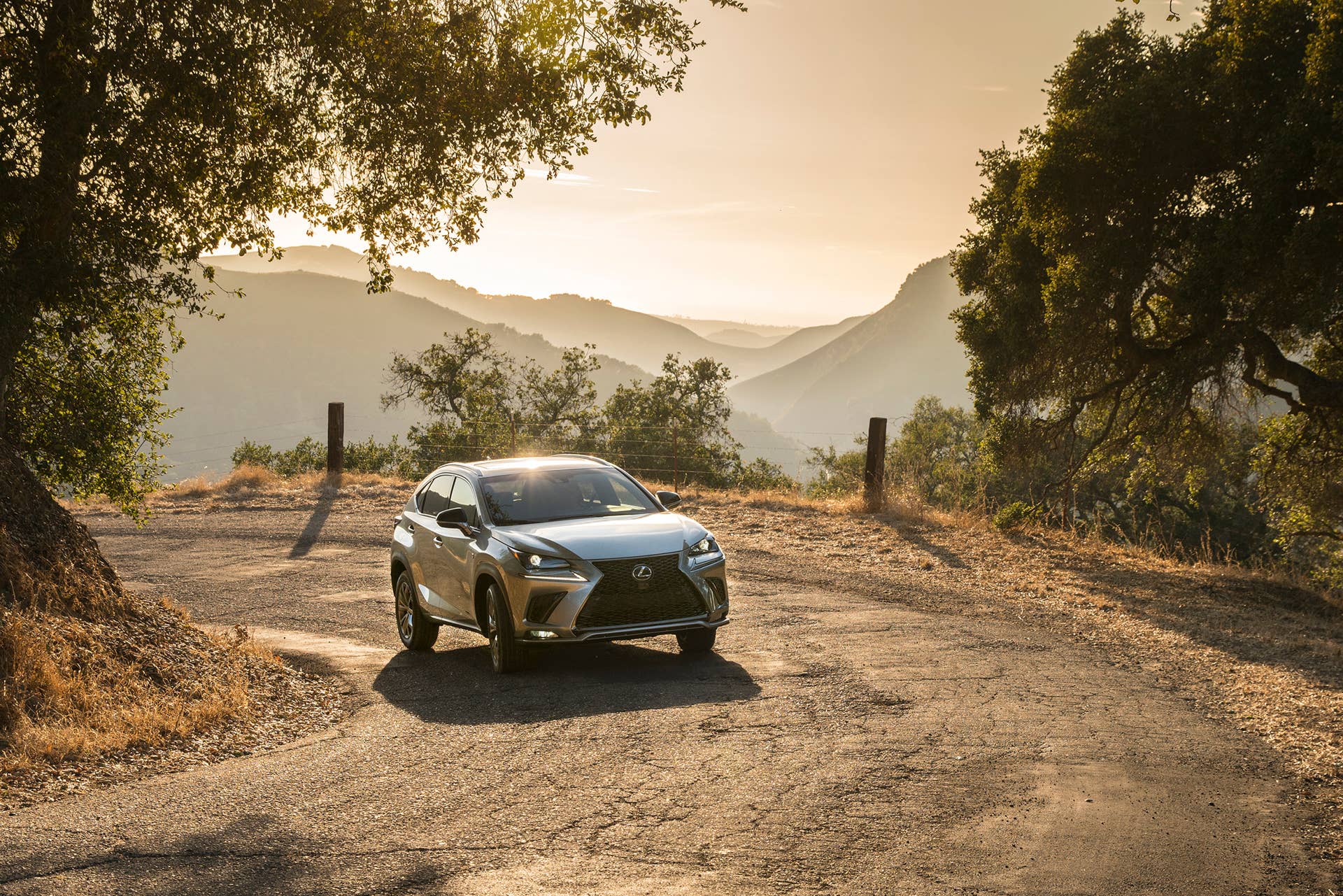 Lexus makes small changes to the 2021 NX lineup.