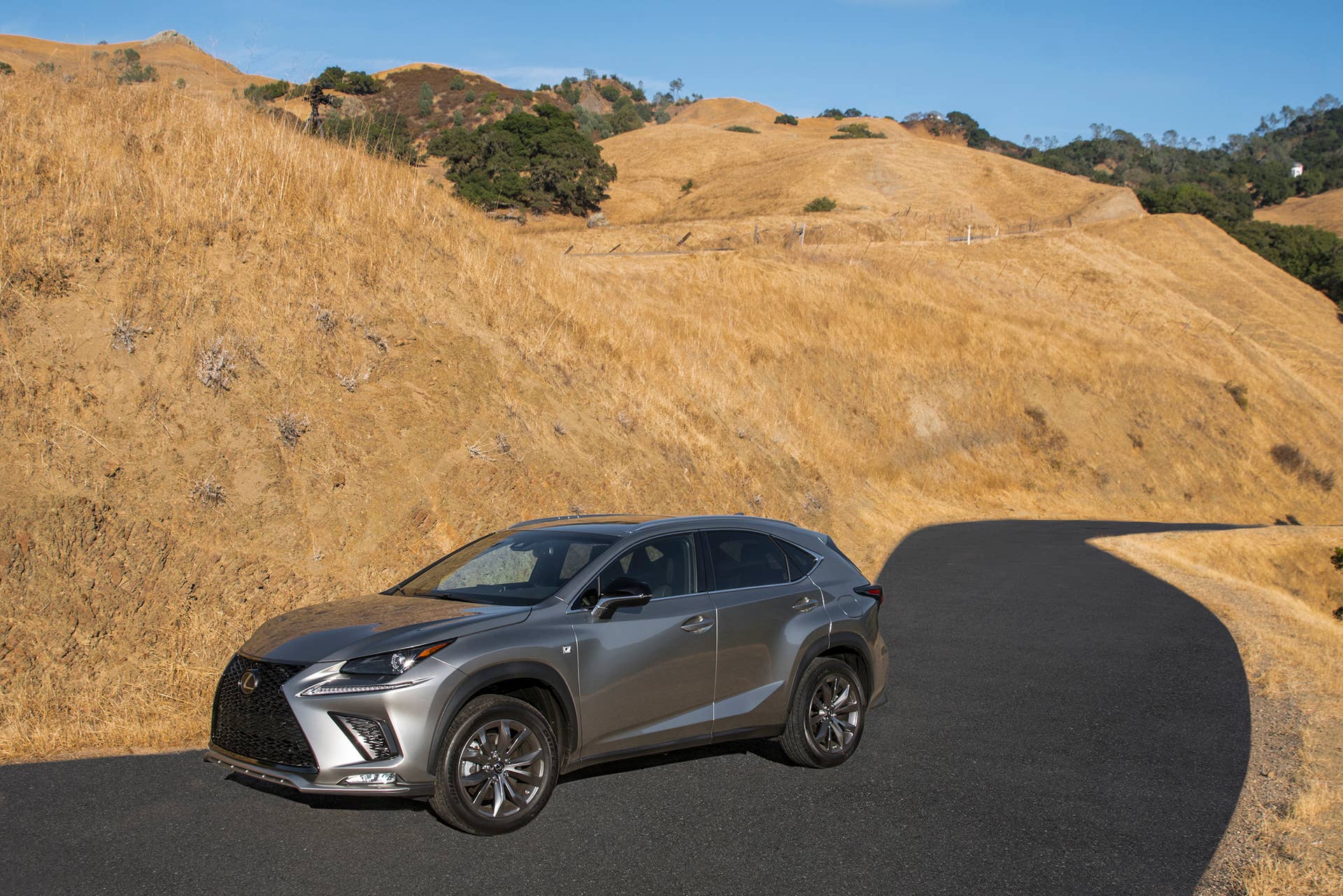 Lexus makes small changes to the 2021 NX lineup.