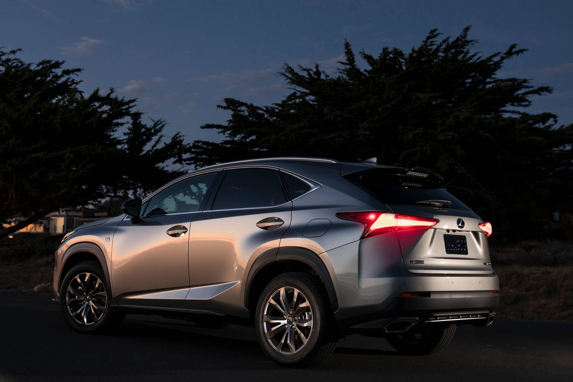 Lexus makes small changes to the 2021 NX lineup.