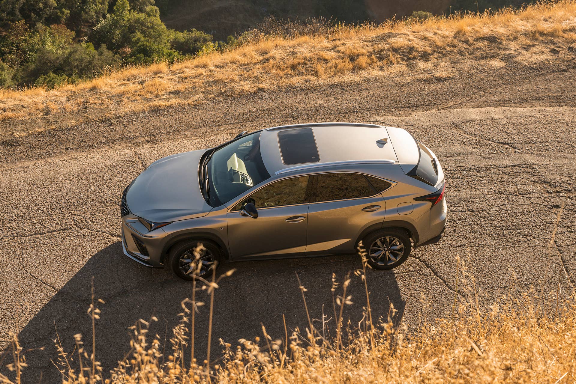 Lexus makes small changes to the 2021 NX lineup.