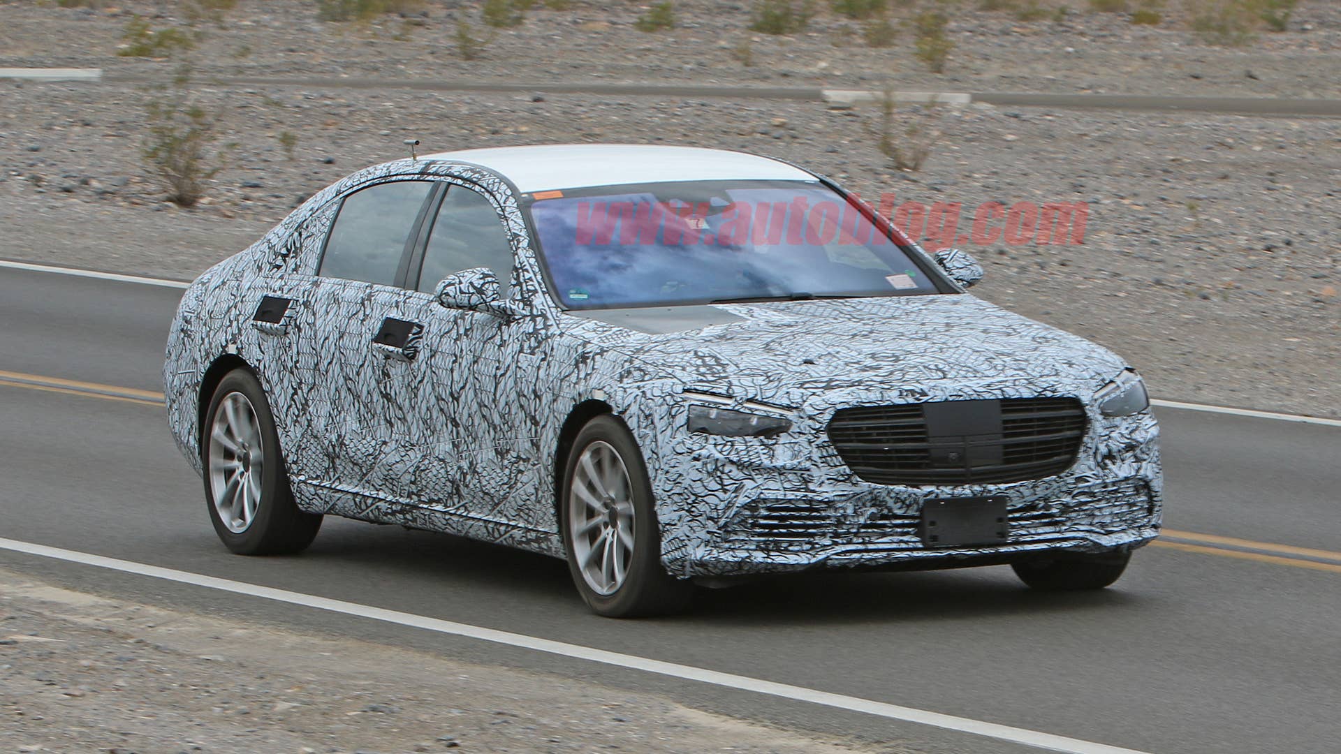 Mercedes-Benz S-Class in thin camouflage