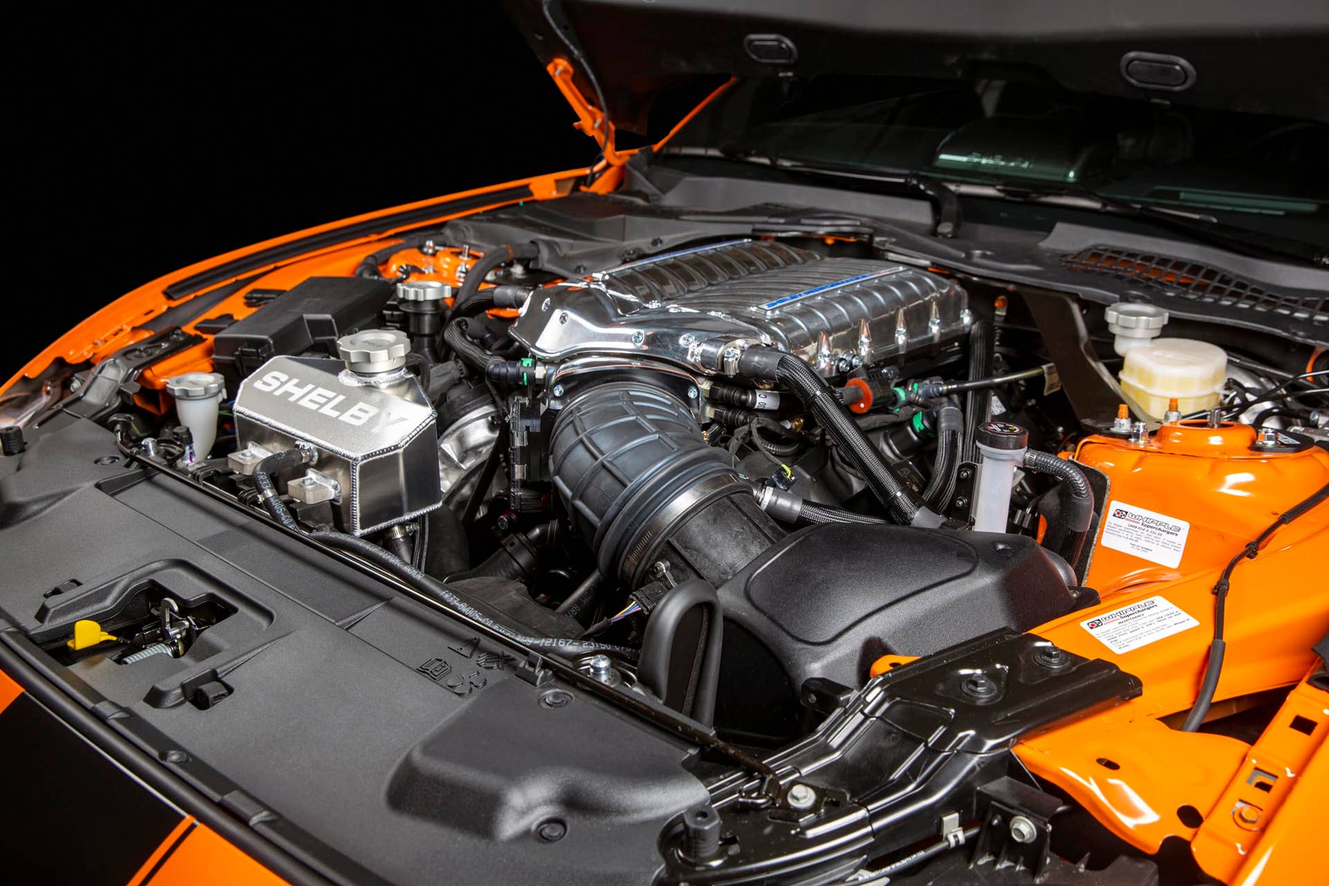Limited to 50 units in the U.S., the Signature Series adds more goodies to the Super Snake, and more cost.