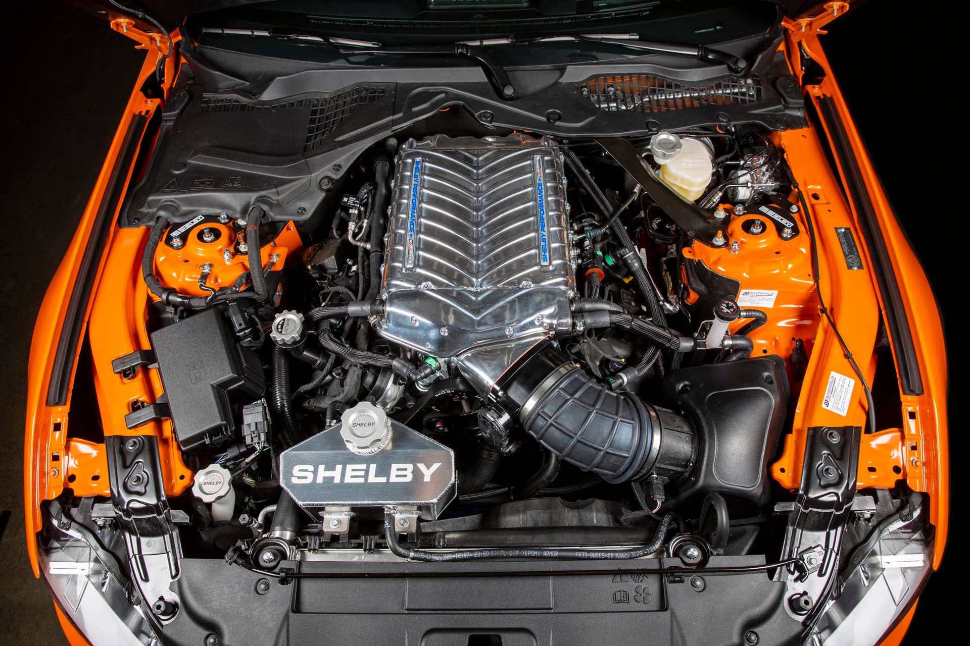 Limited to 50 units in the U.S., the Signature Series adds more goodies to the Super Snake, and more cost.