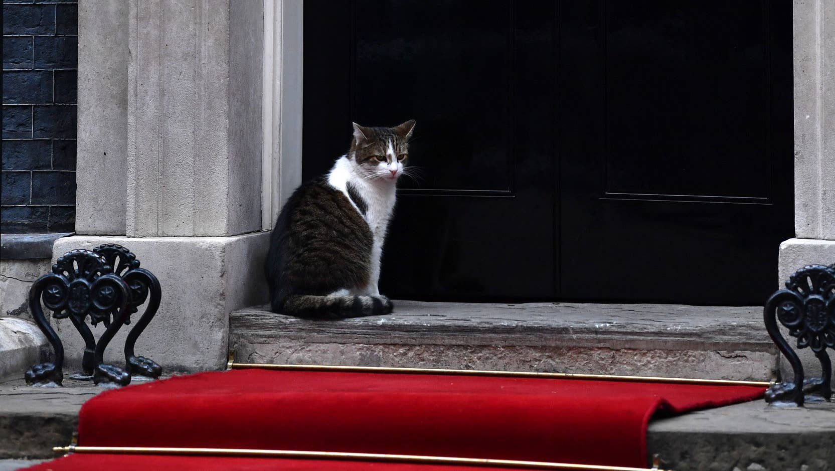 U.S. President Trump's State Visit To UK - Day Two