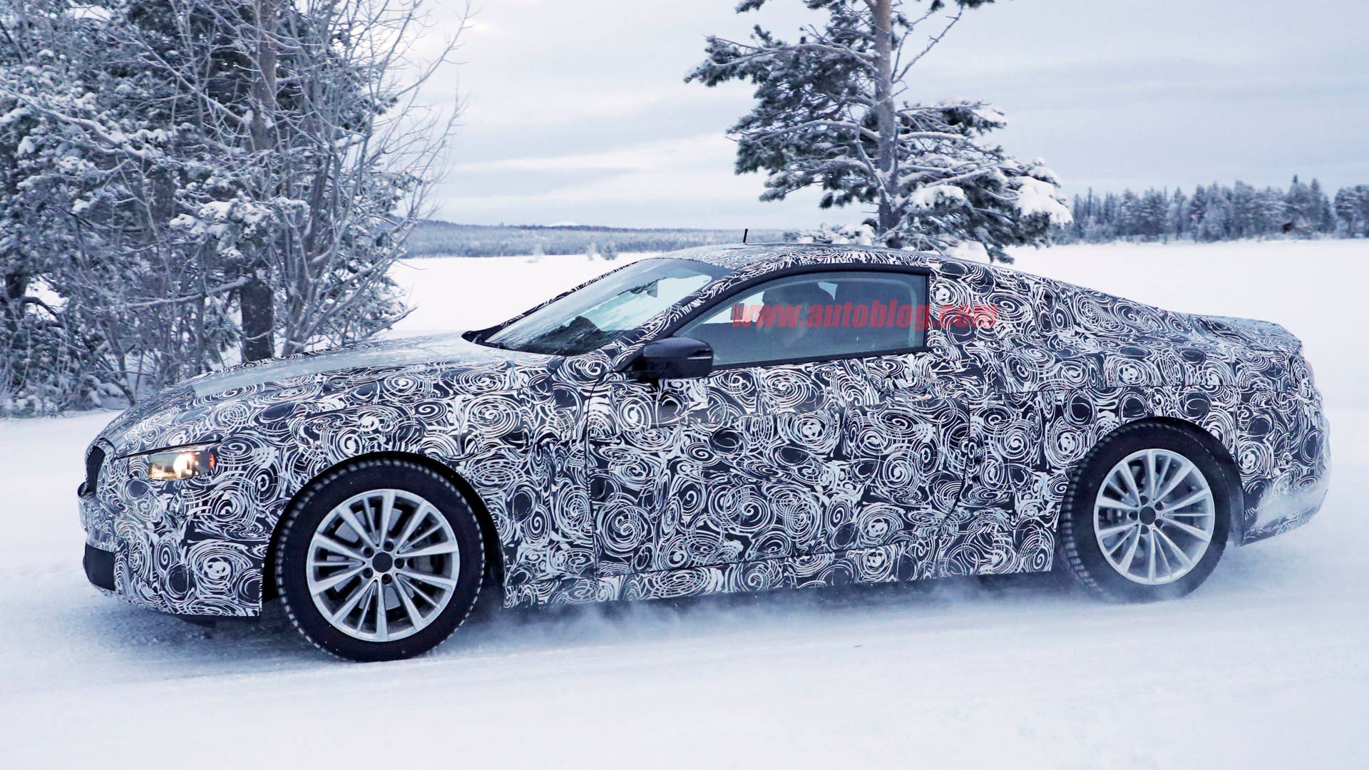 BMW 6 Series coupe