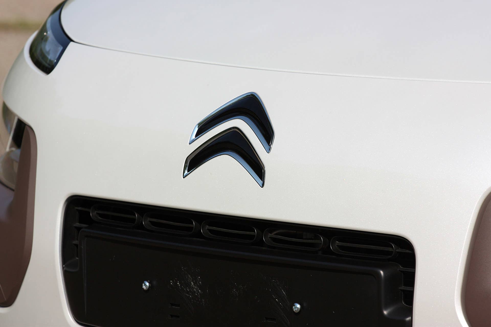2015 Citroën C4 Cactus grille