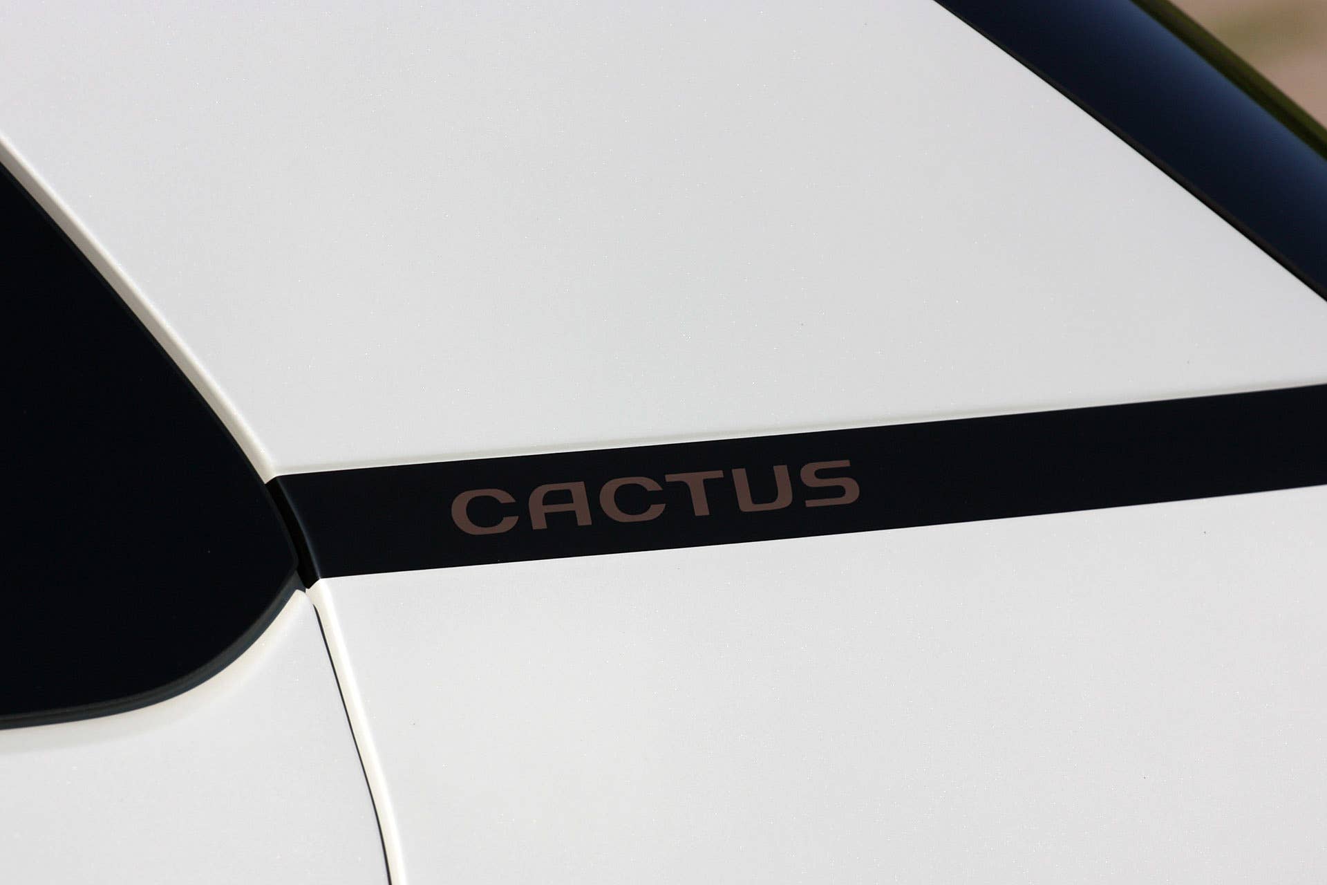 2015 Citroën C4 Cactus exterior trim