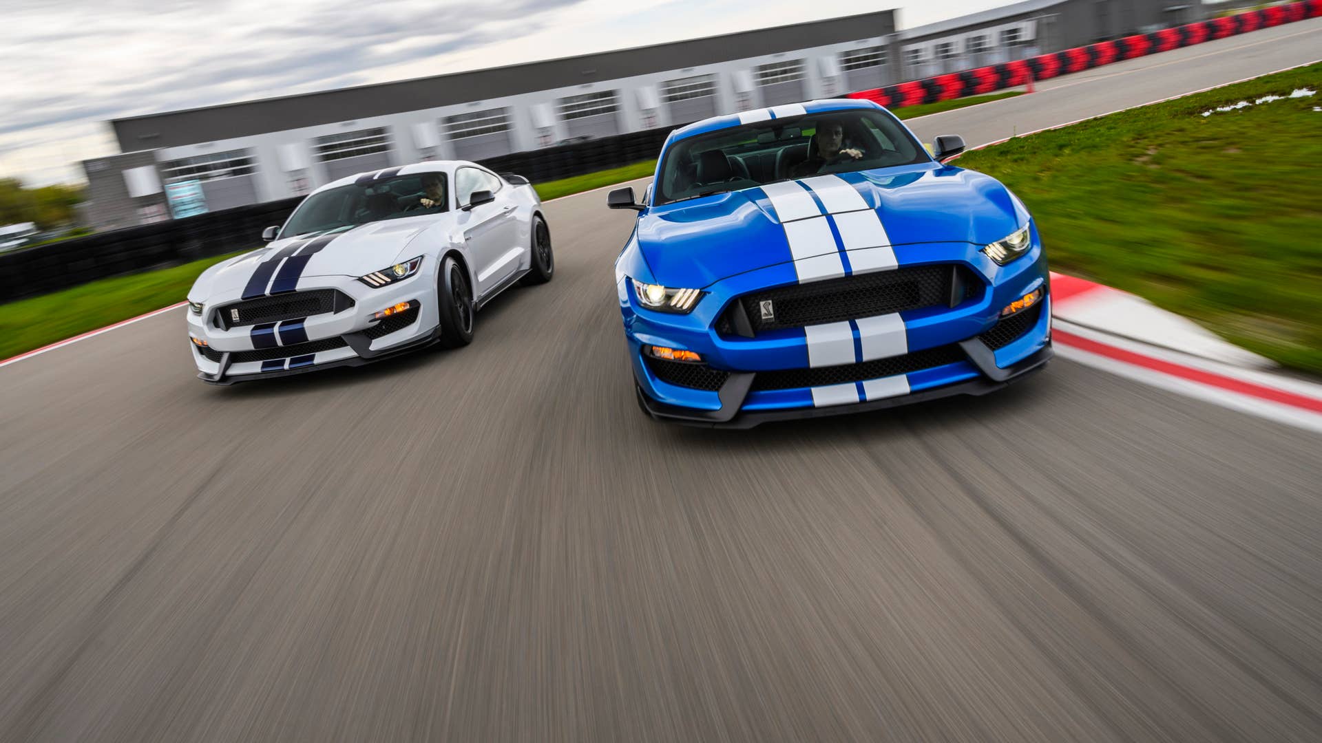 2019 Shelby GT350