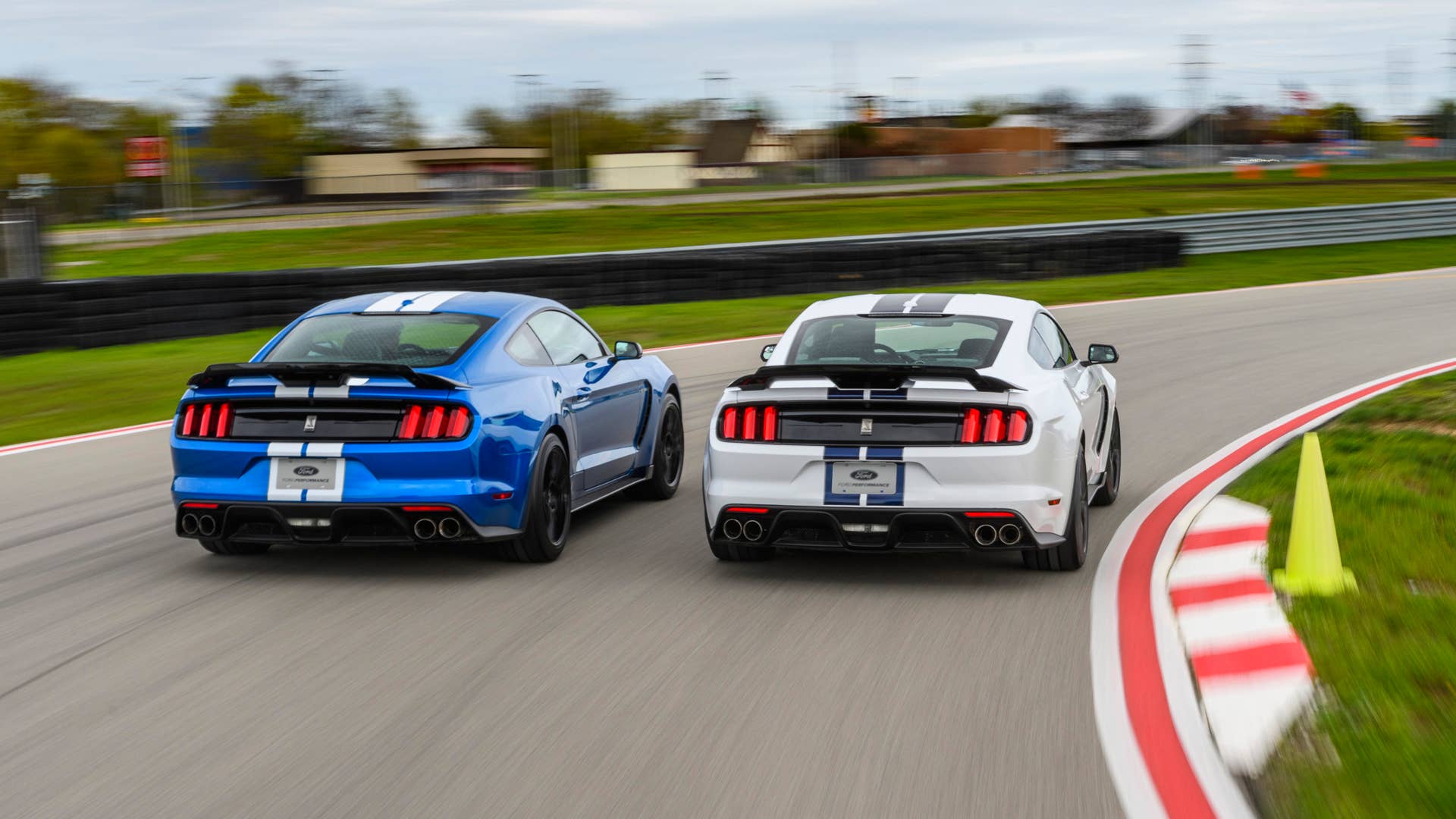 2019 Shelby GT350