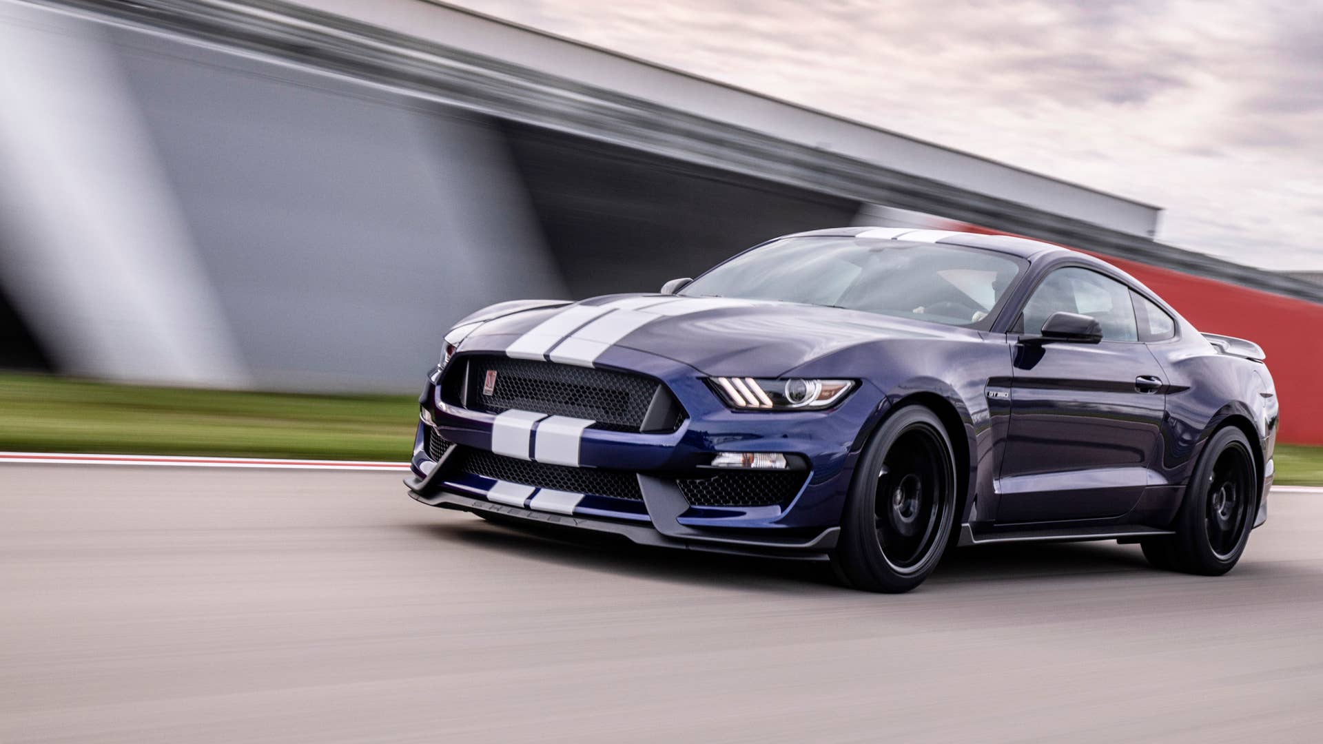 2019 Shelby GT350