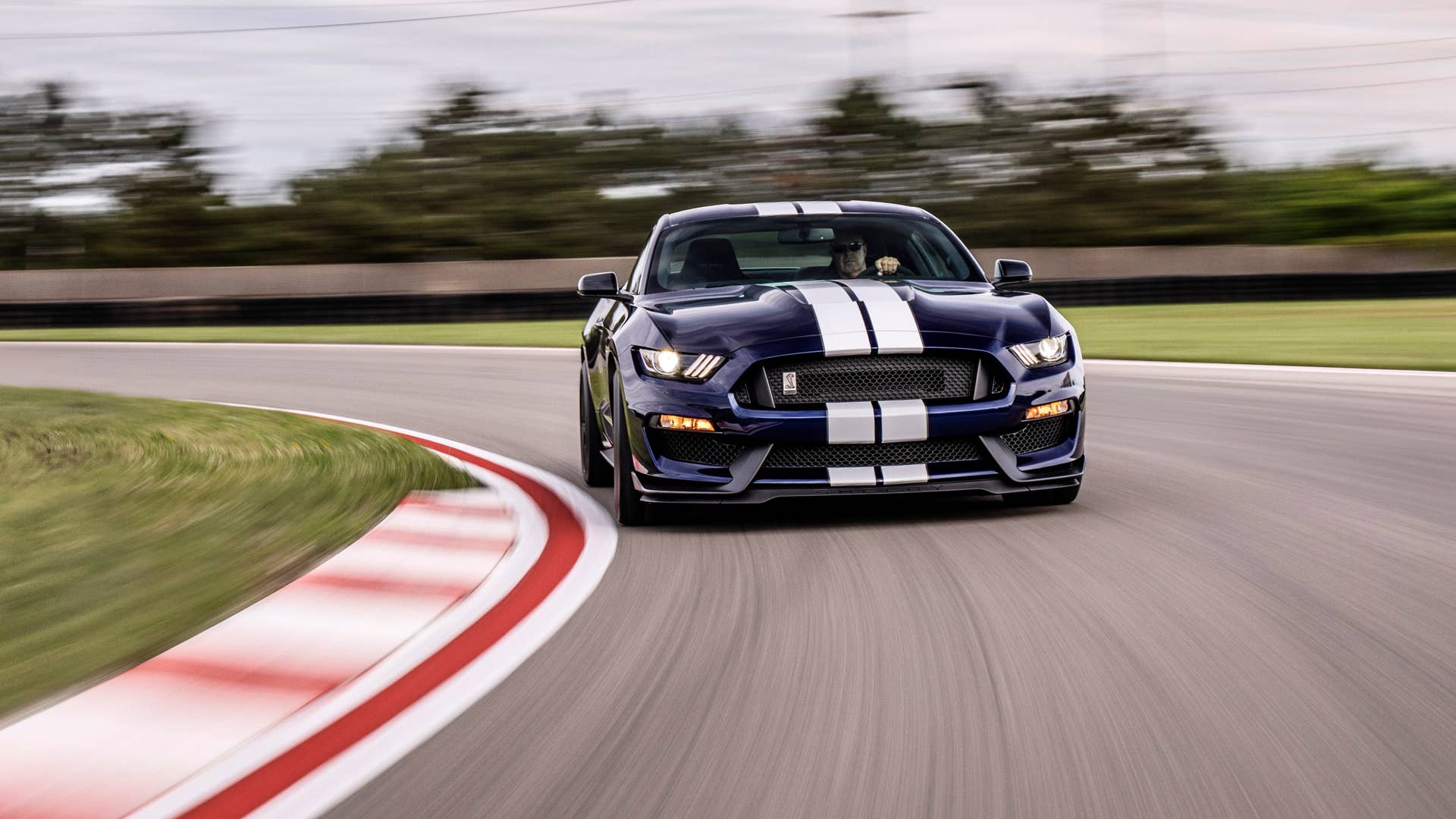 2019 Shelby GT350