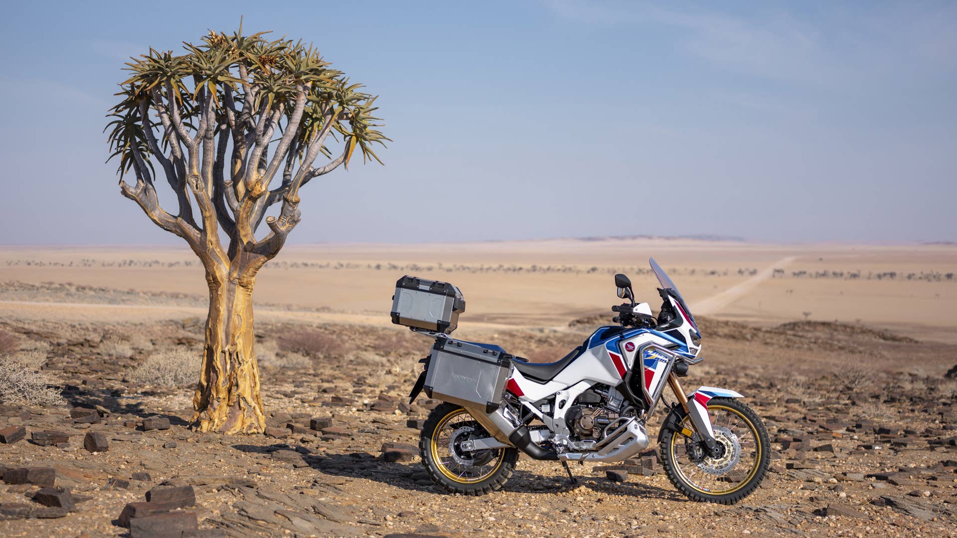 2020 Honda CRF1100L Africa Twin Adventure Sports SE
