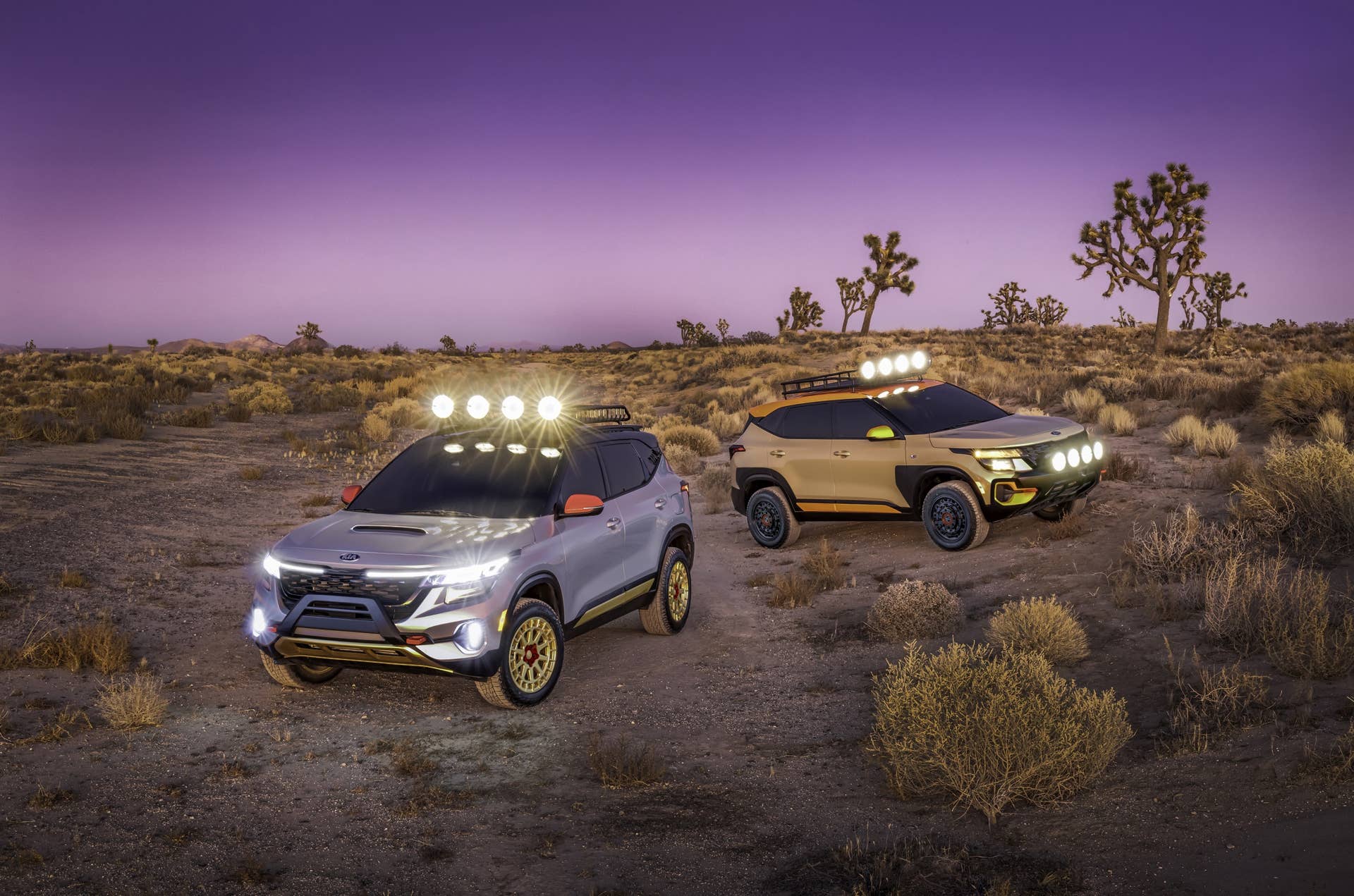 Seltos X-Line Trail Attack Concept & Seltos X-Line Urban Concept