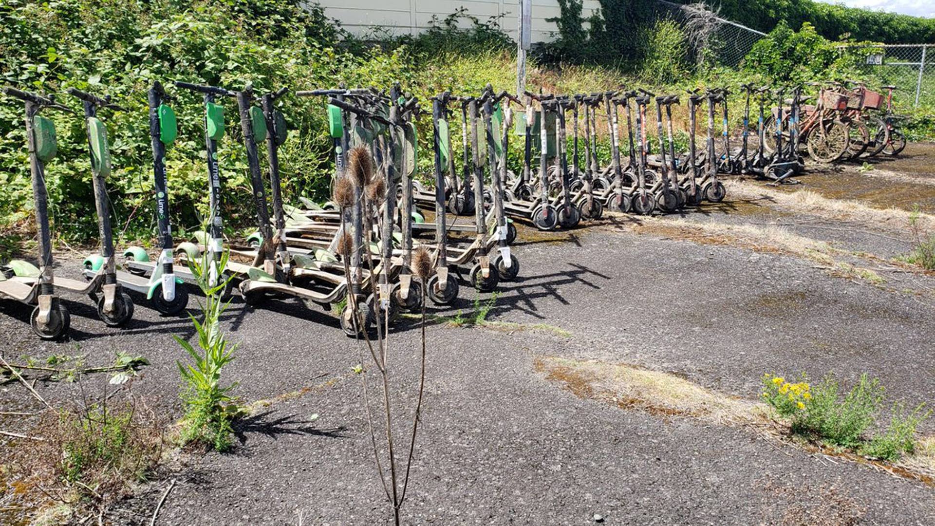 More than 50 e-scooters and bikes were pulled from a Portland river.