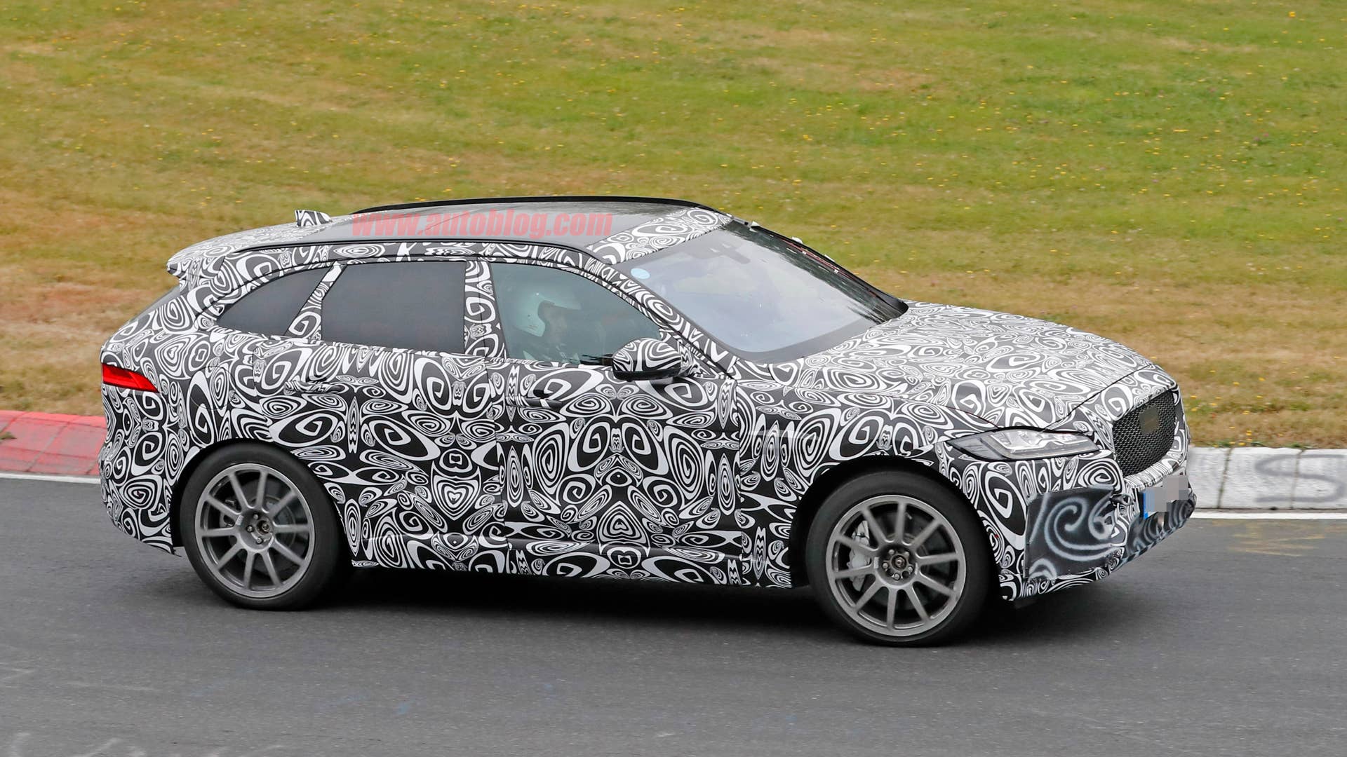 2019 Jaguar F-Pace R right profile