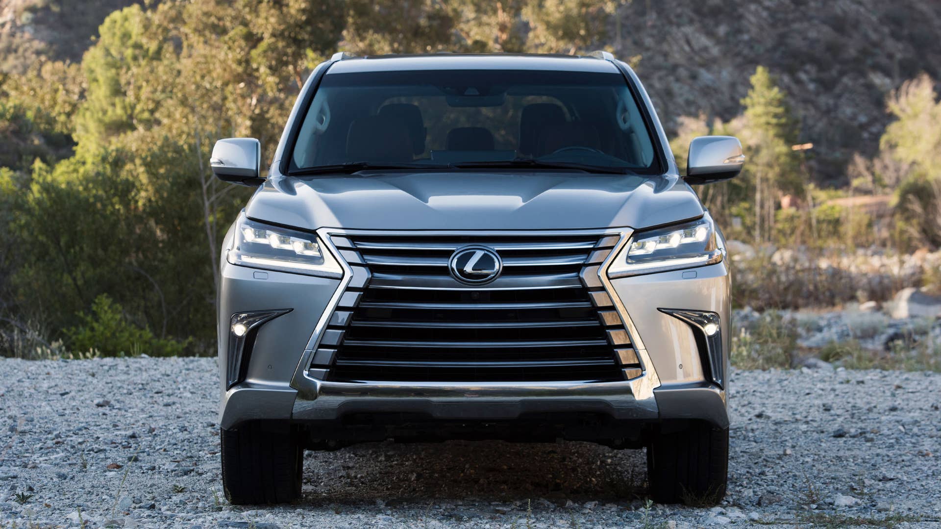 2019 Lexus LX 570