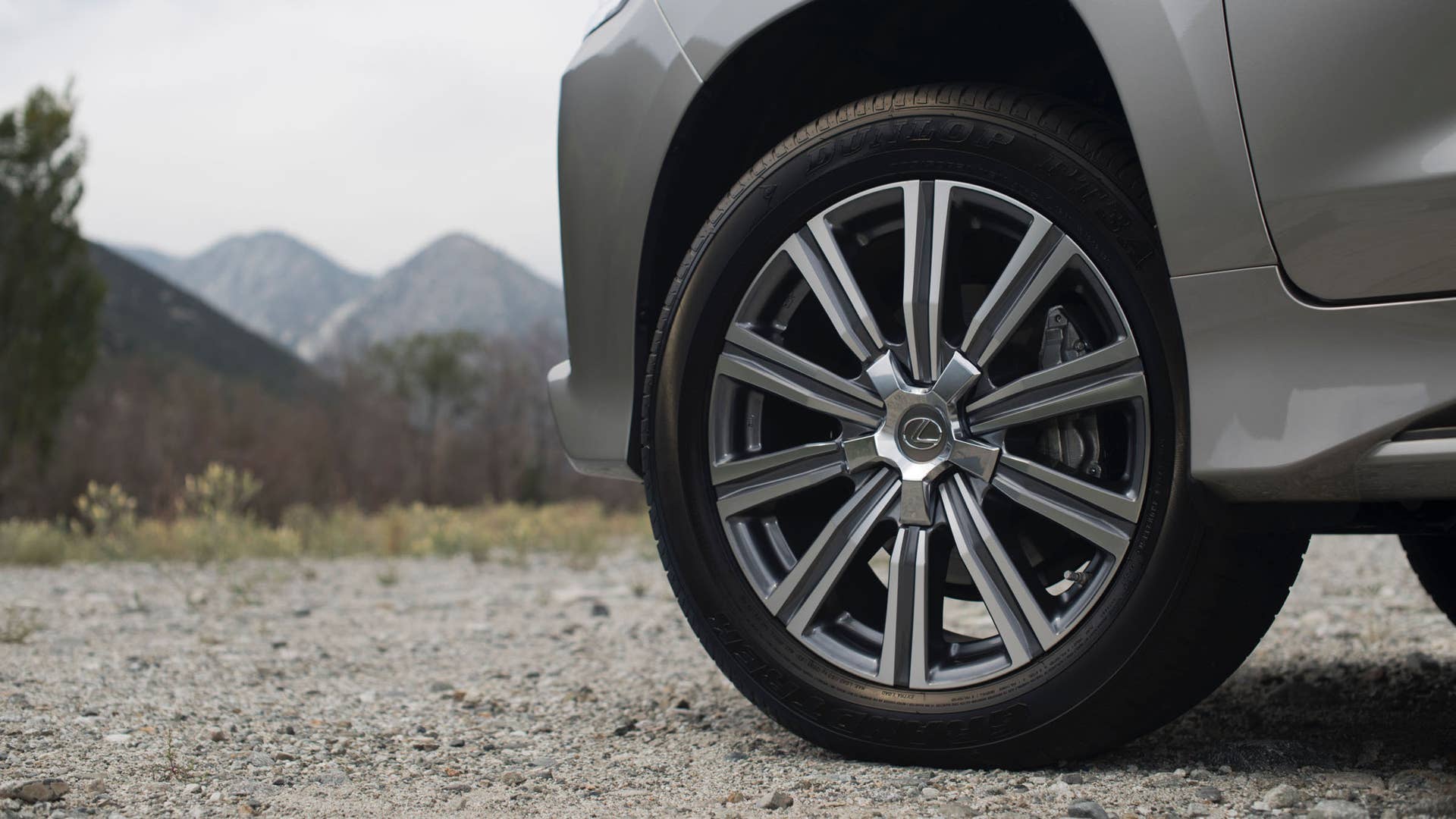 2019 Lexus LX 570