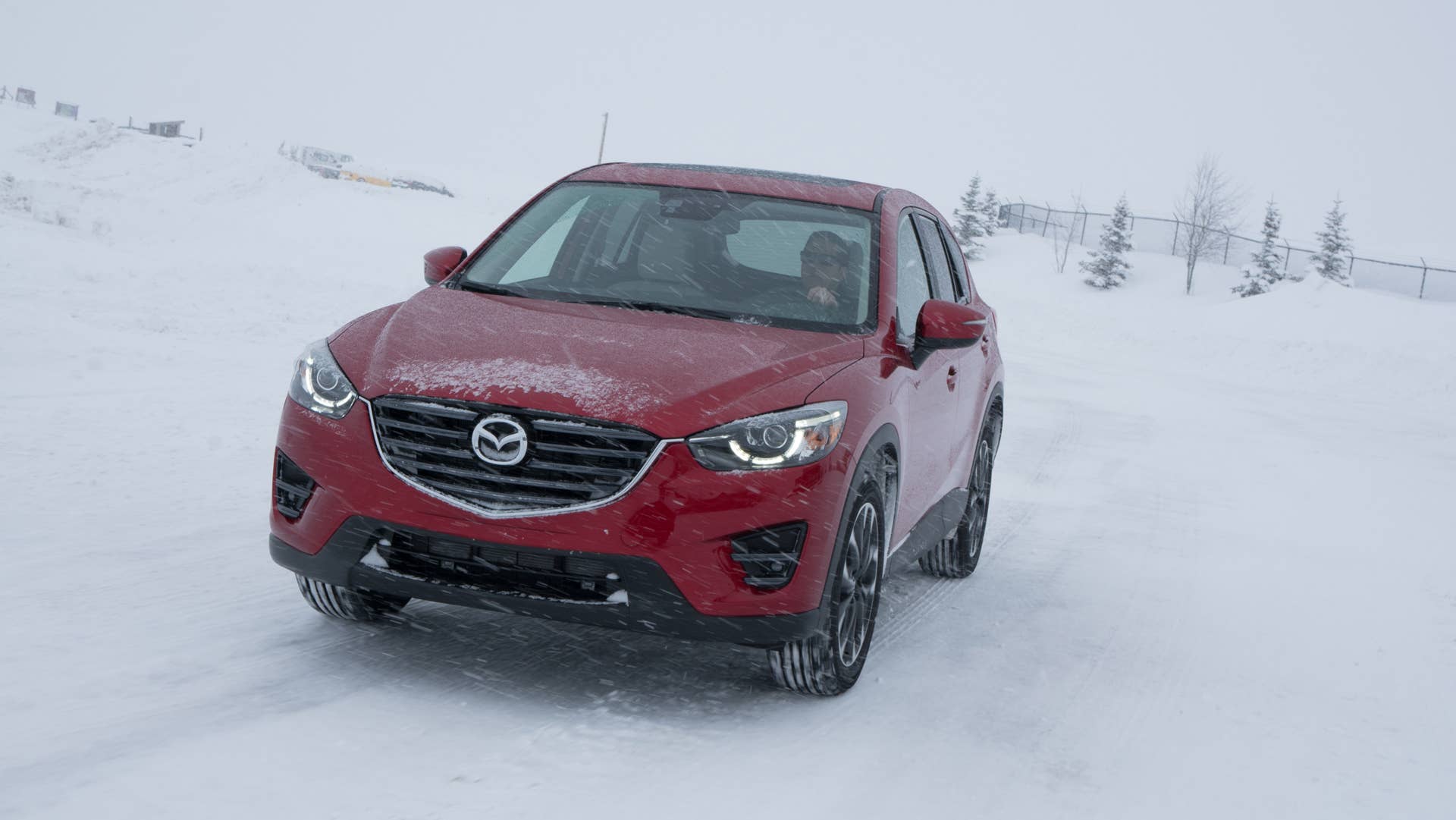 In order to make sure they function properly, safety sensors need to be clean and clear of ice, snow, and grime.