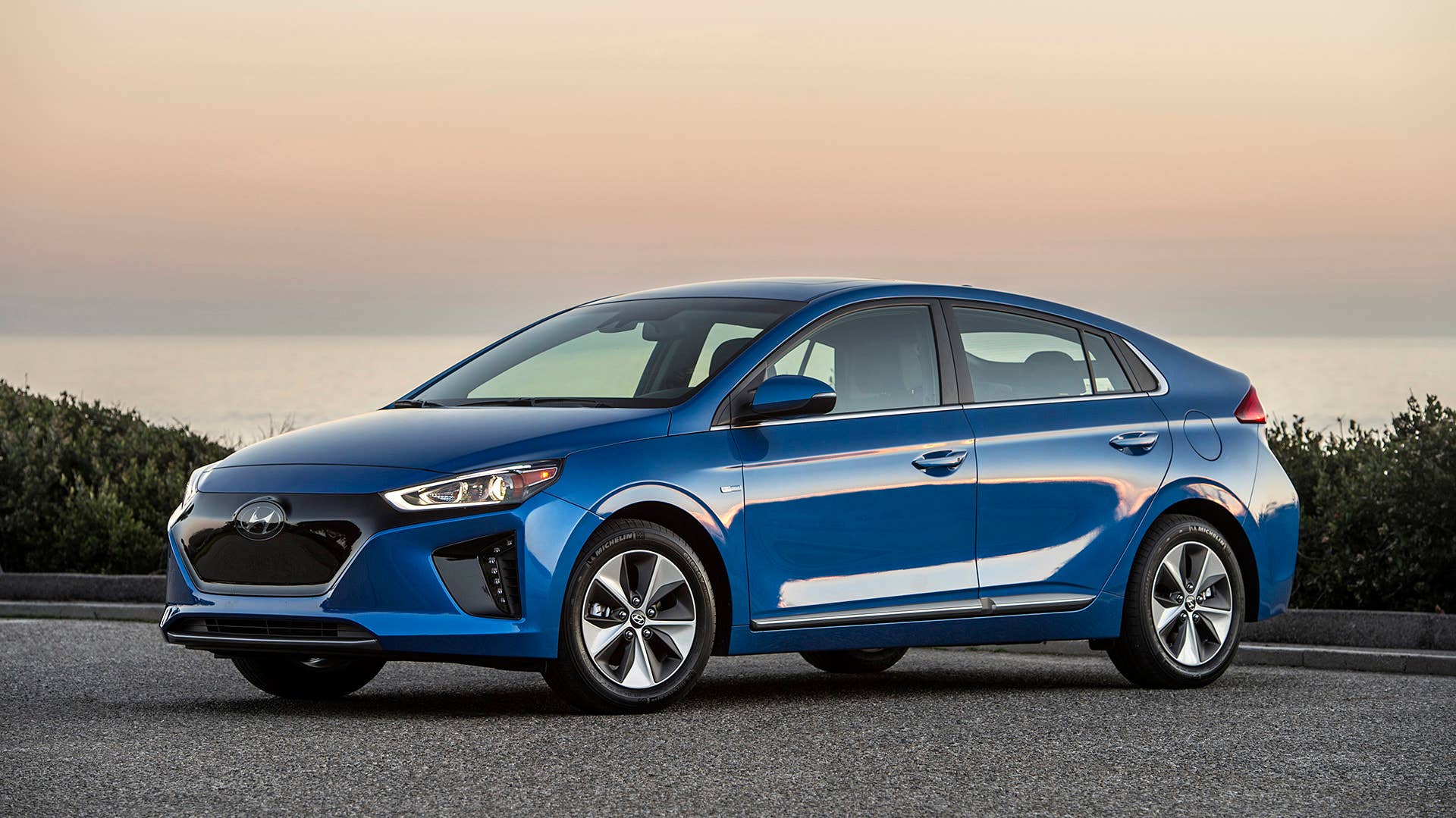 2017 Ioniq Electric Vehicle (EV)