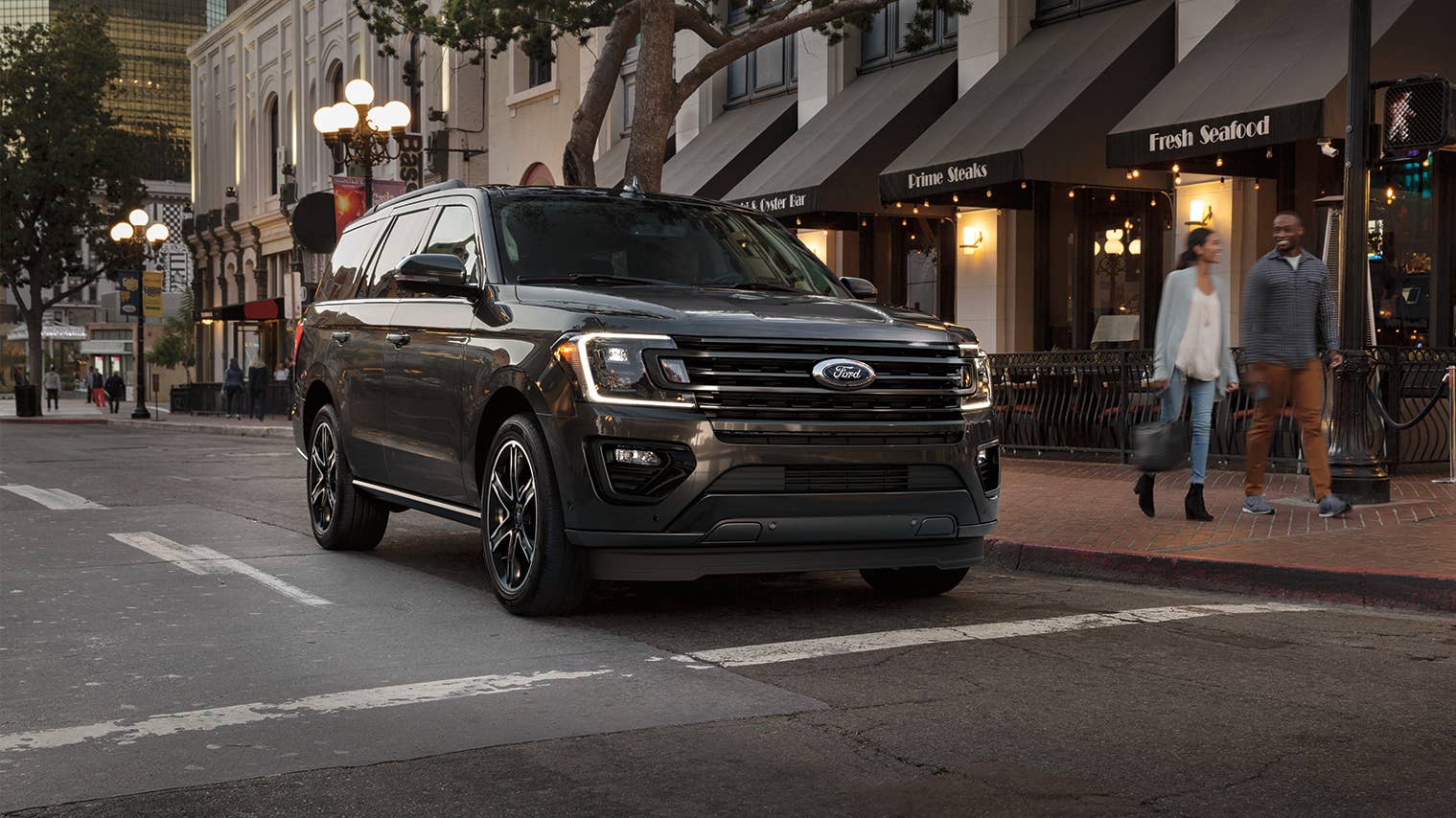 2019 Ford Expedition Stealth Edition