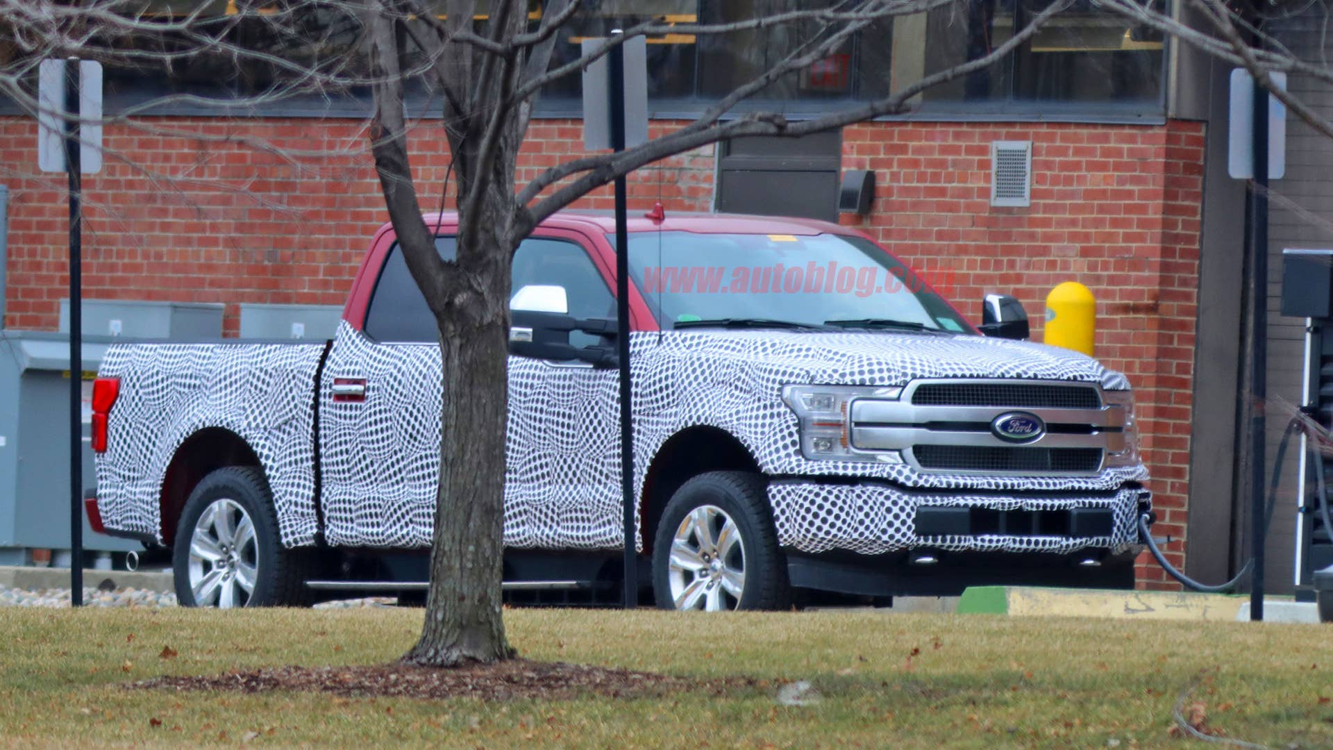 Our spy photographer got a look at Ford's electric pickup plugged in at a charger