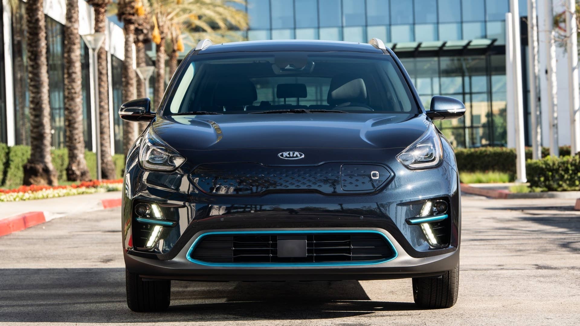 2019 Kia Niro EV