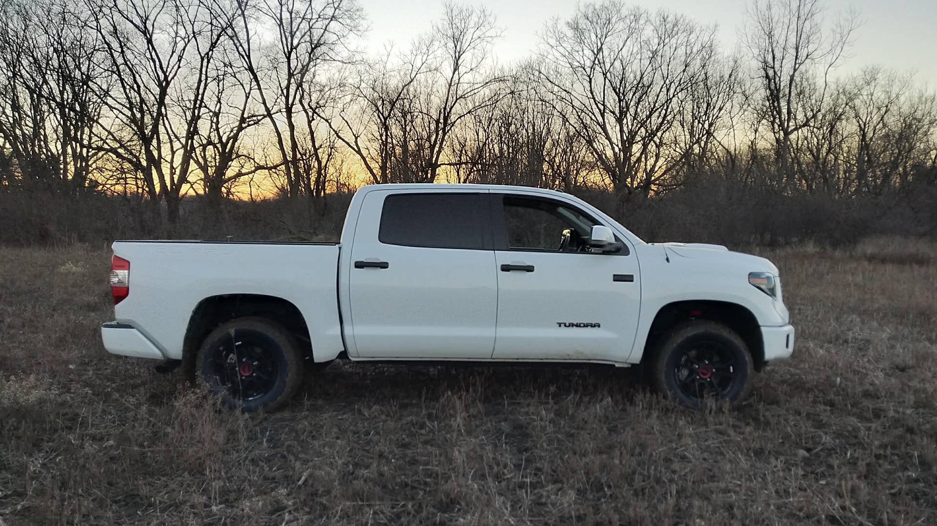 2019 Toyota Tundra TRD Pro