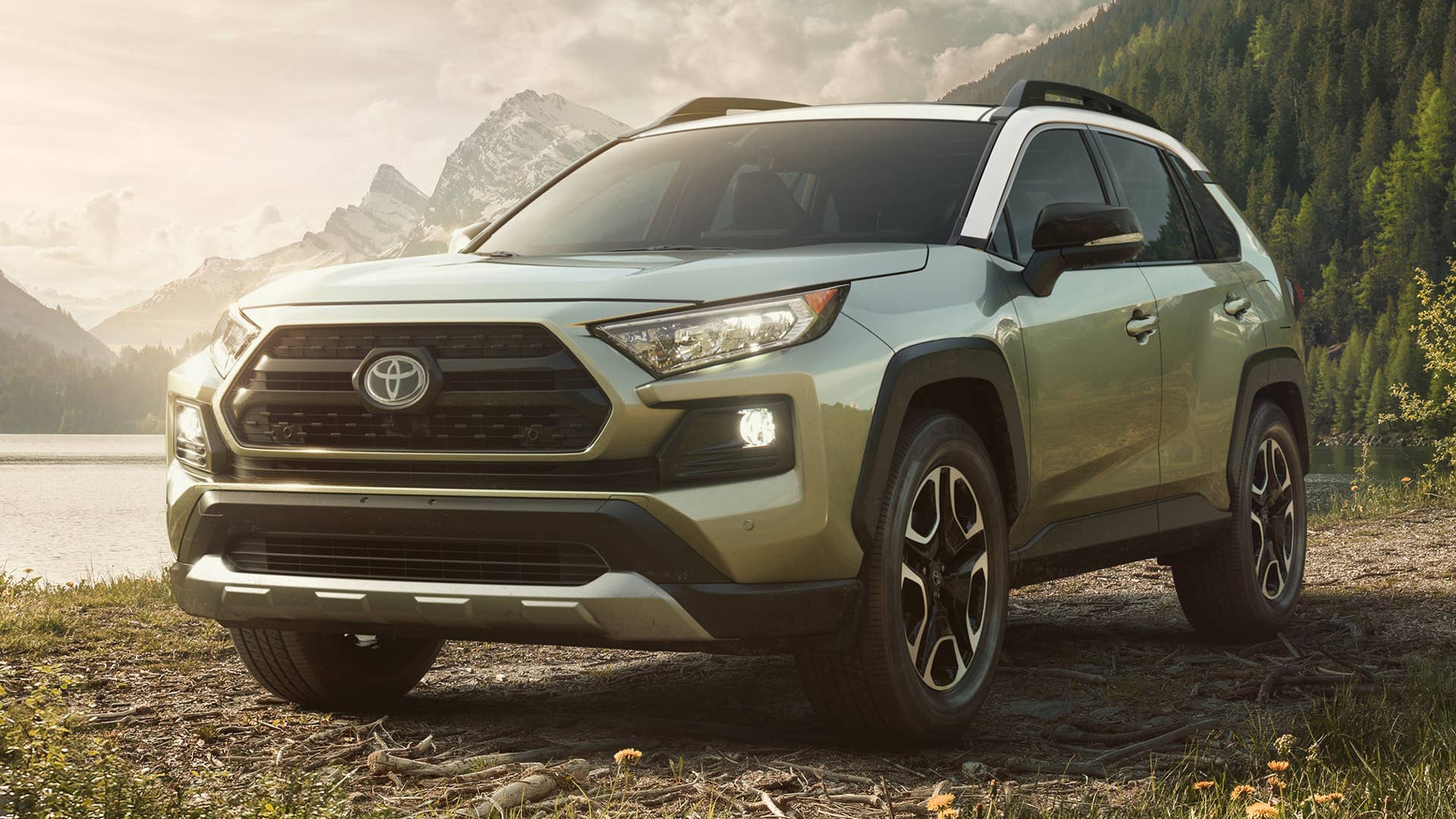 2019 Toyota RAV4
