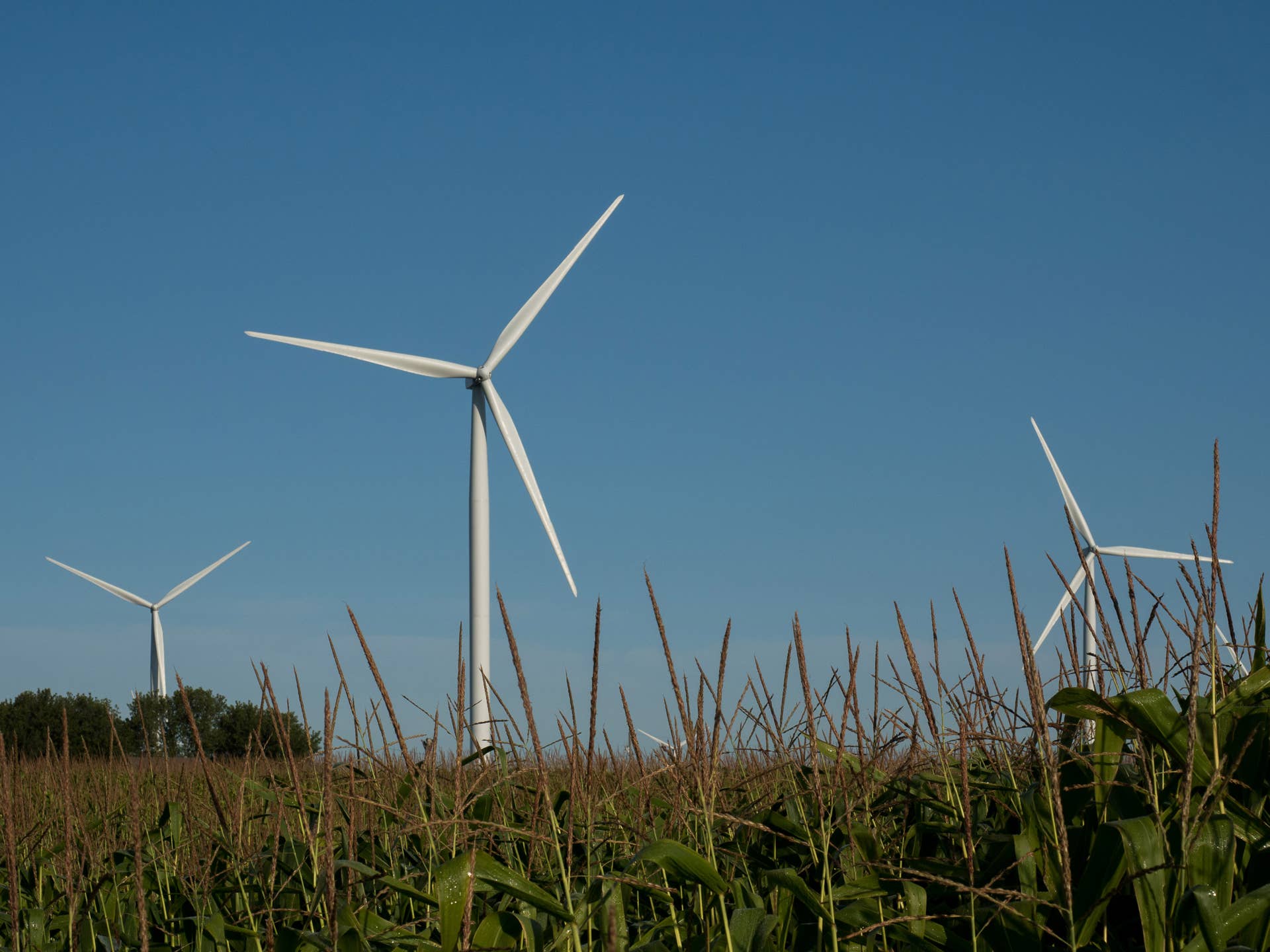 Wind turbines at Pinnebog wind park in Huron County. Eight of DTE's 13 wind parks are located in Huron County including Pinnebog wind park.
