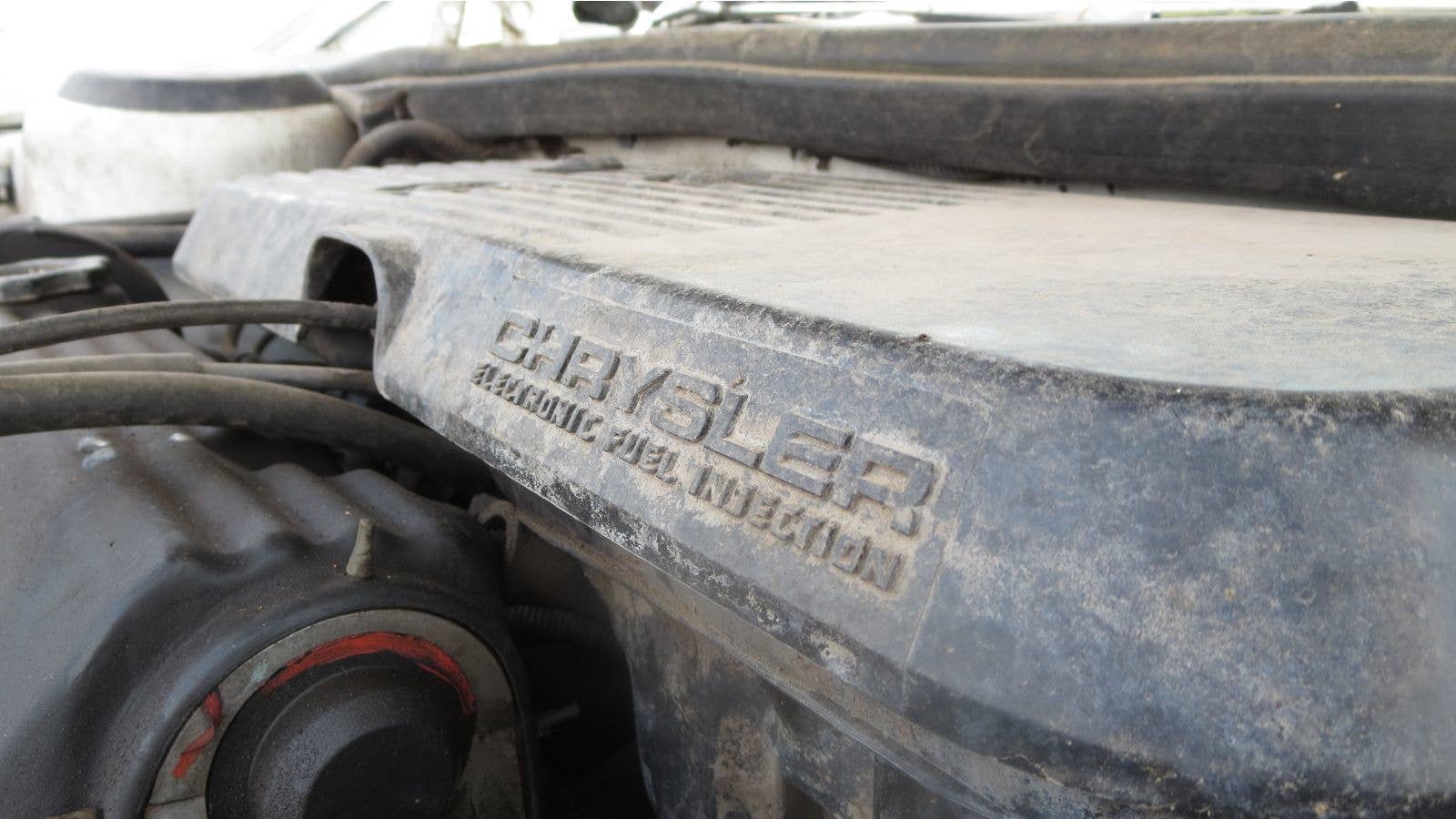 Junked 1988 Dodge Aries wagon