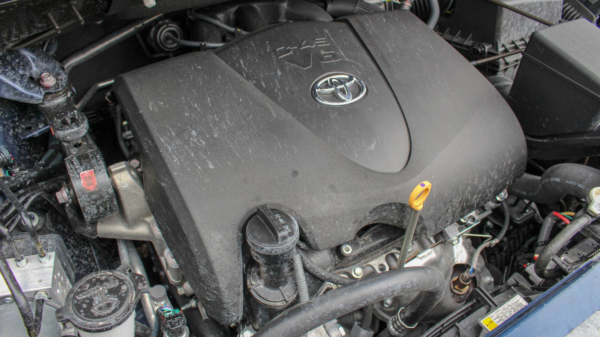 2019 Toyota Sienna XLE AWD